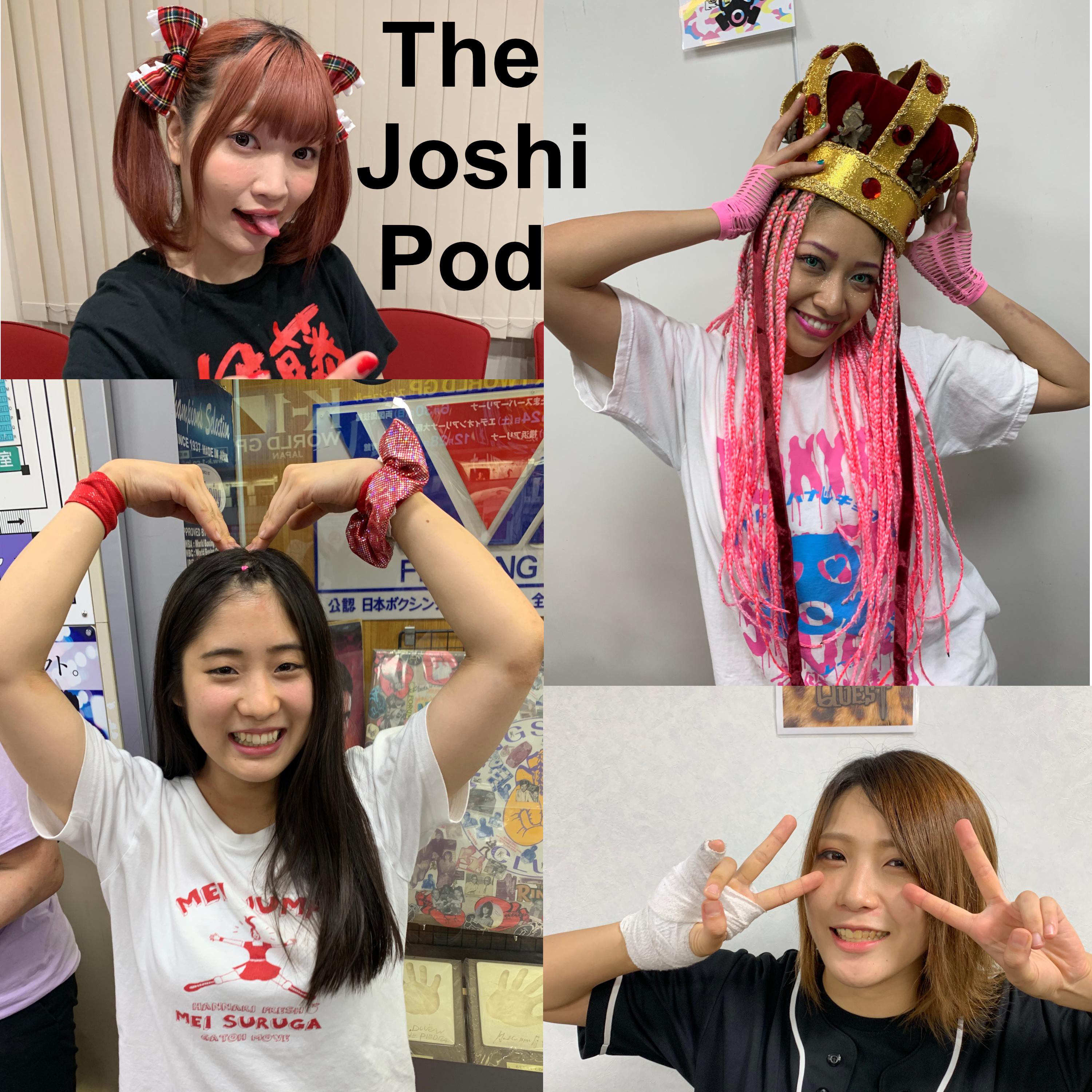 The Joshi Pod