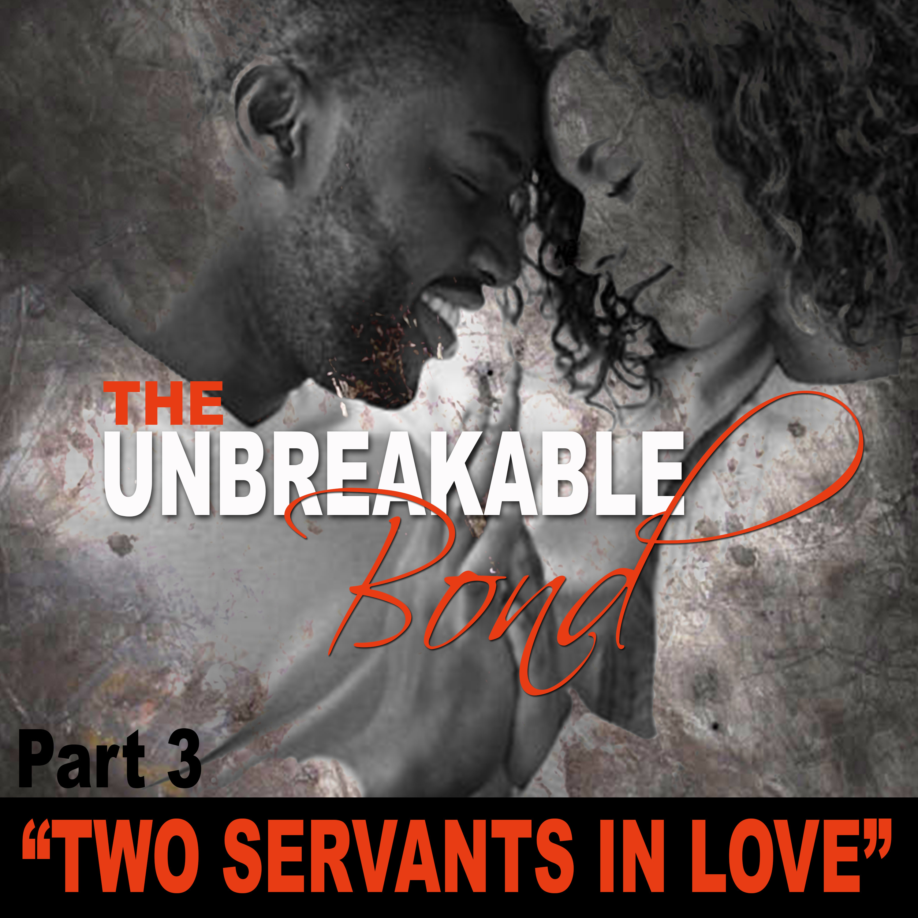 Two Servants In Love-Part 3 from the Series The Unbreakable Bond