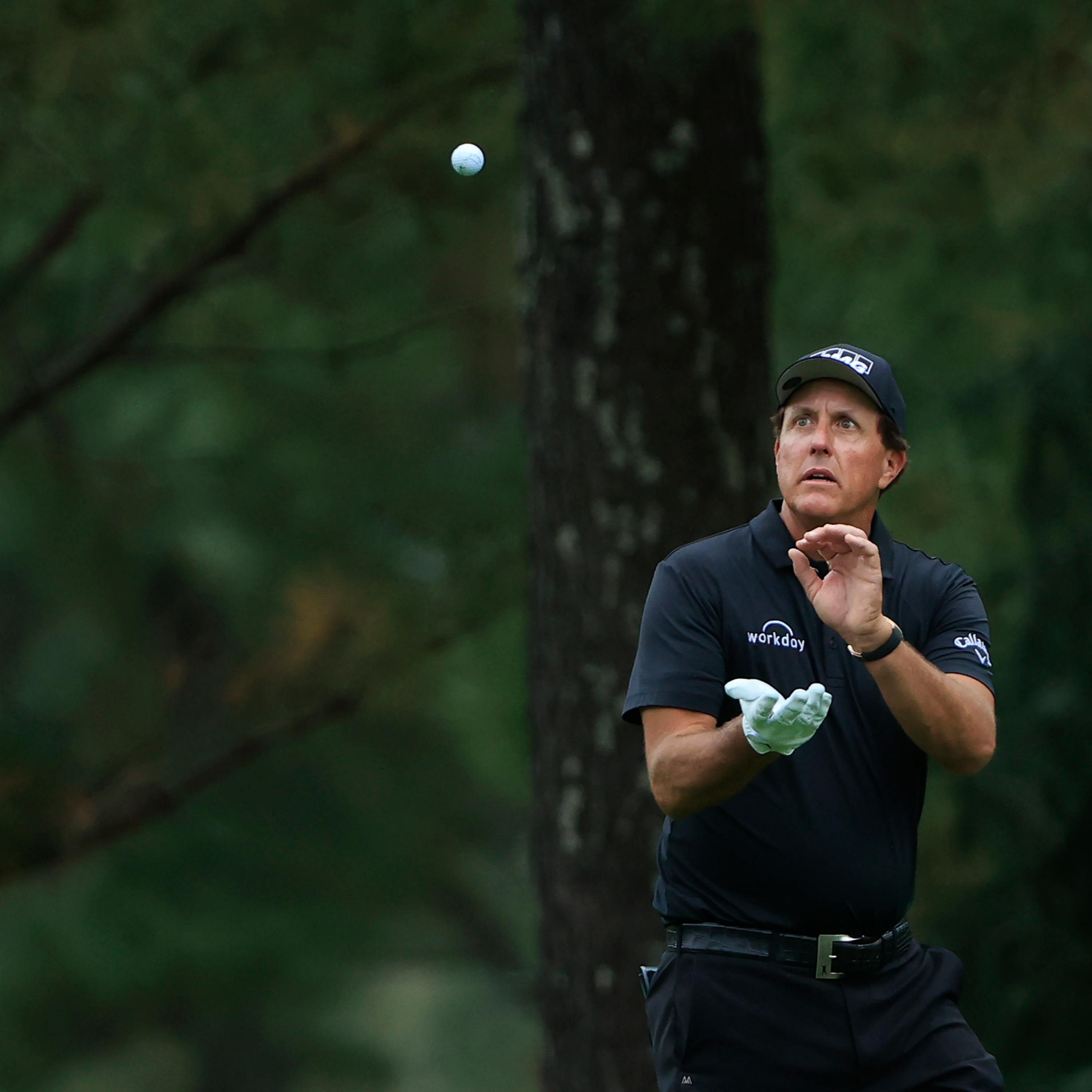Bola Provisional (El podcast de golf de Ten Golf)
