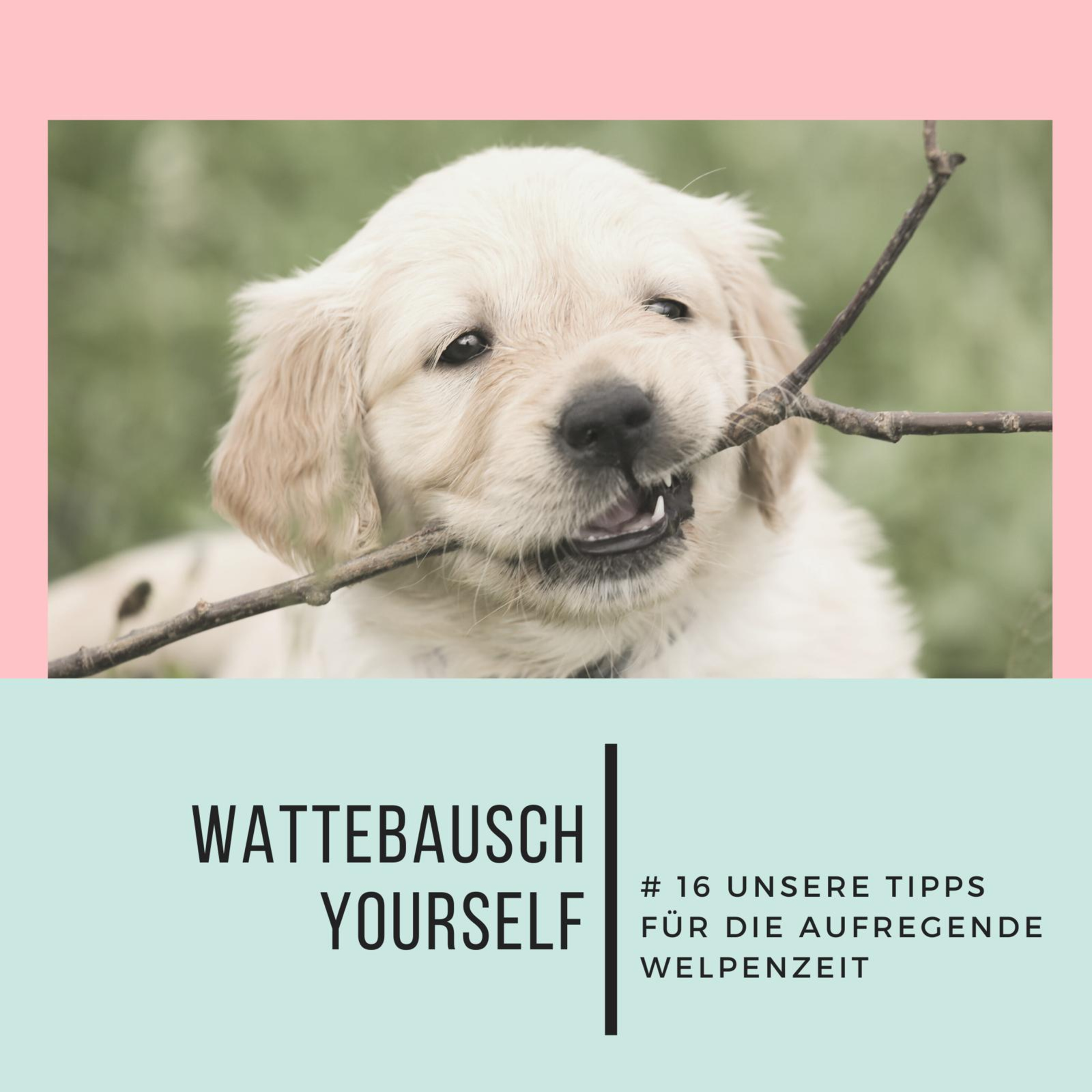 Wattebauschfraktion