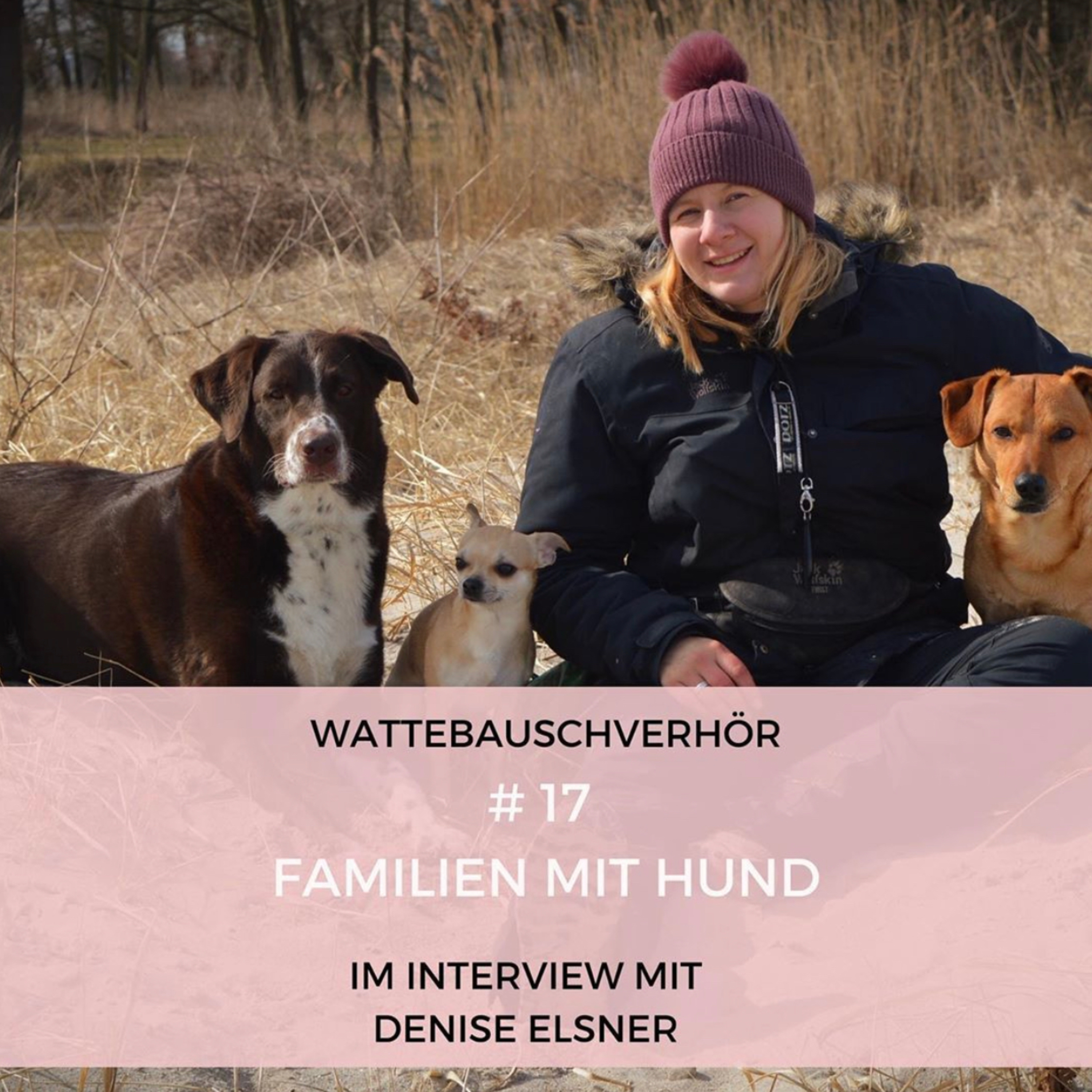 Wattebauschfraktion