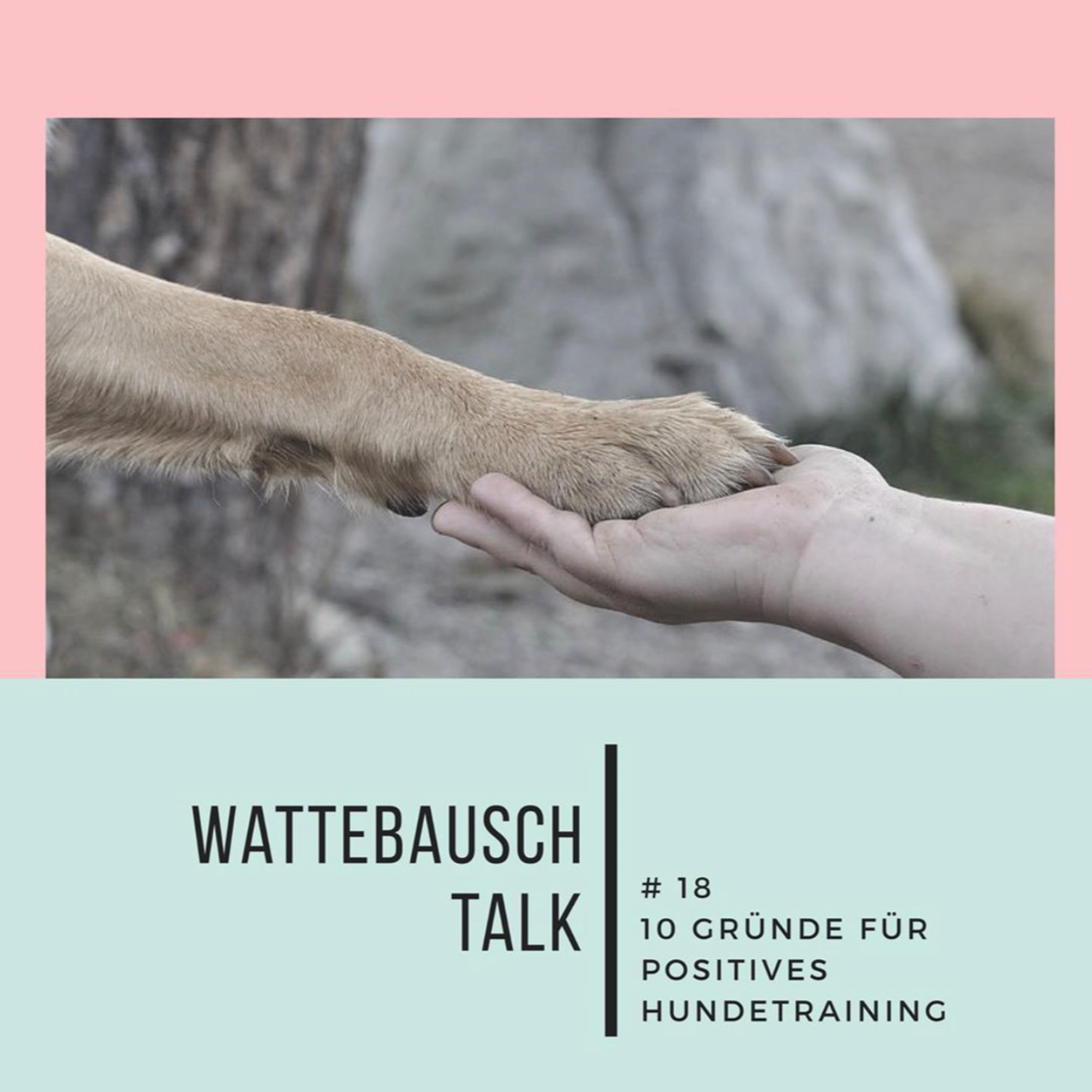 Wattebauschfraktion