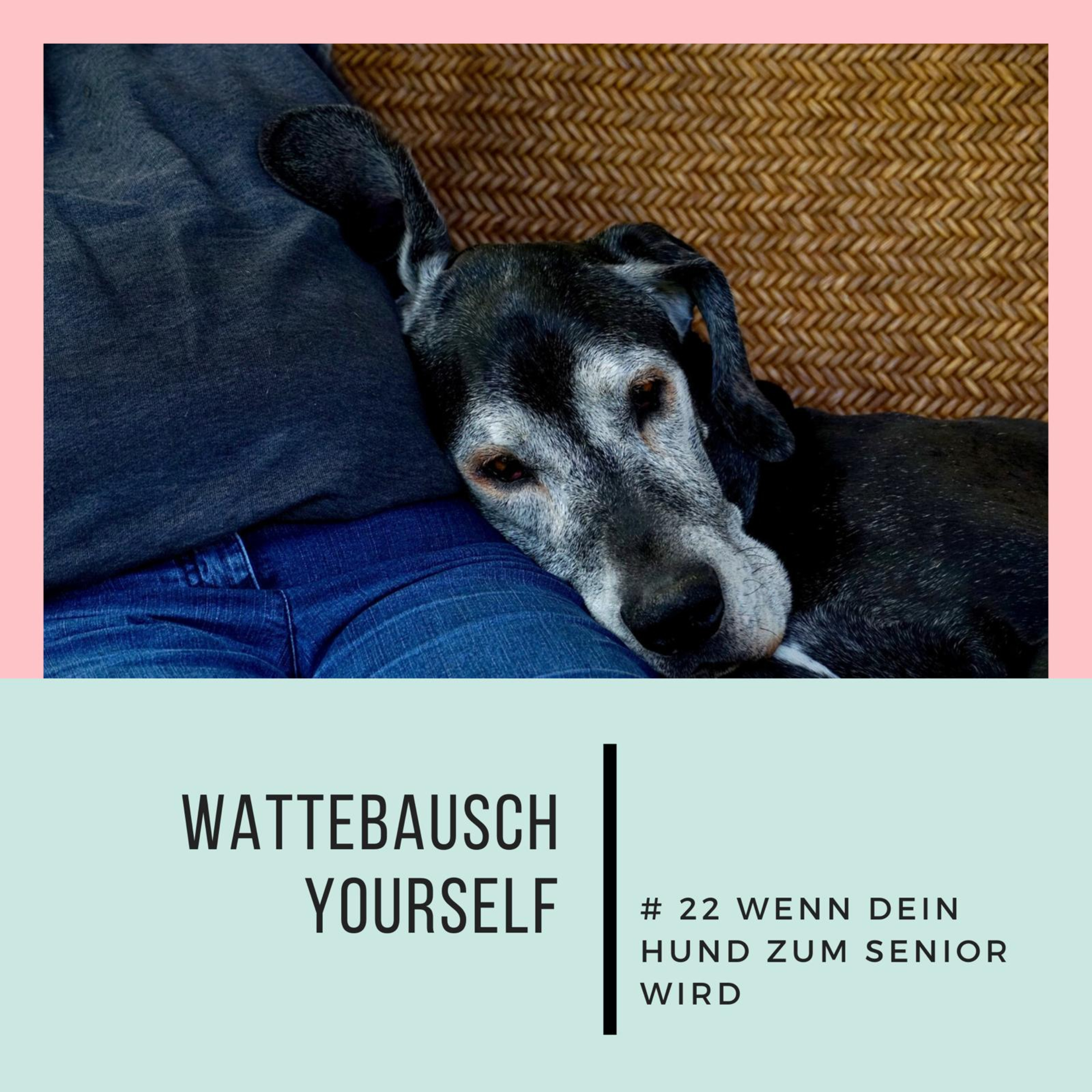 Wattebauschfraktion