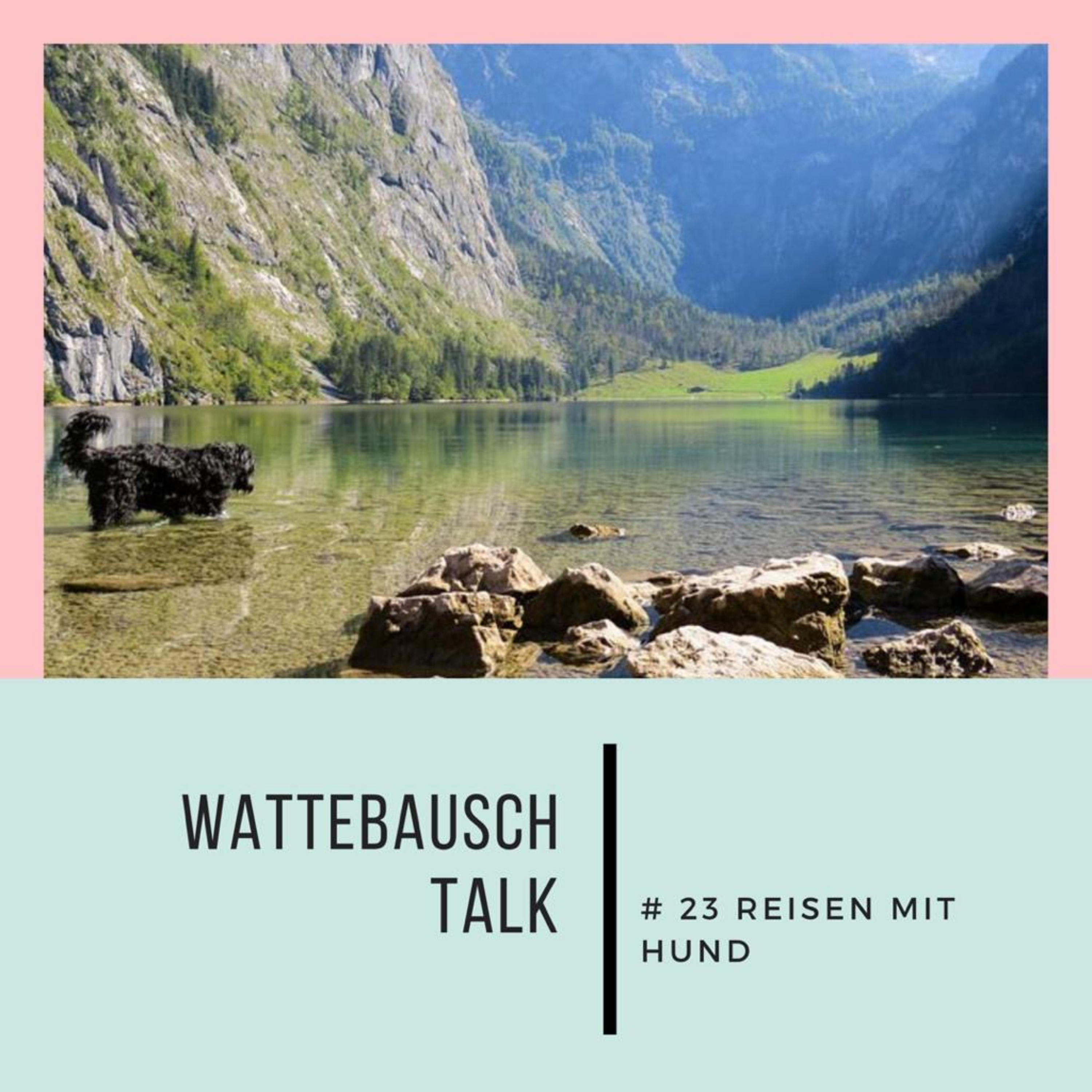 Wattebauschfraktion