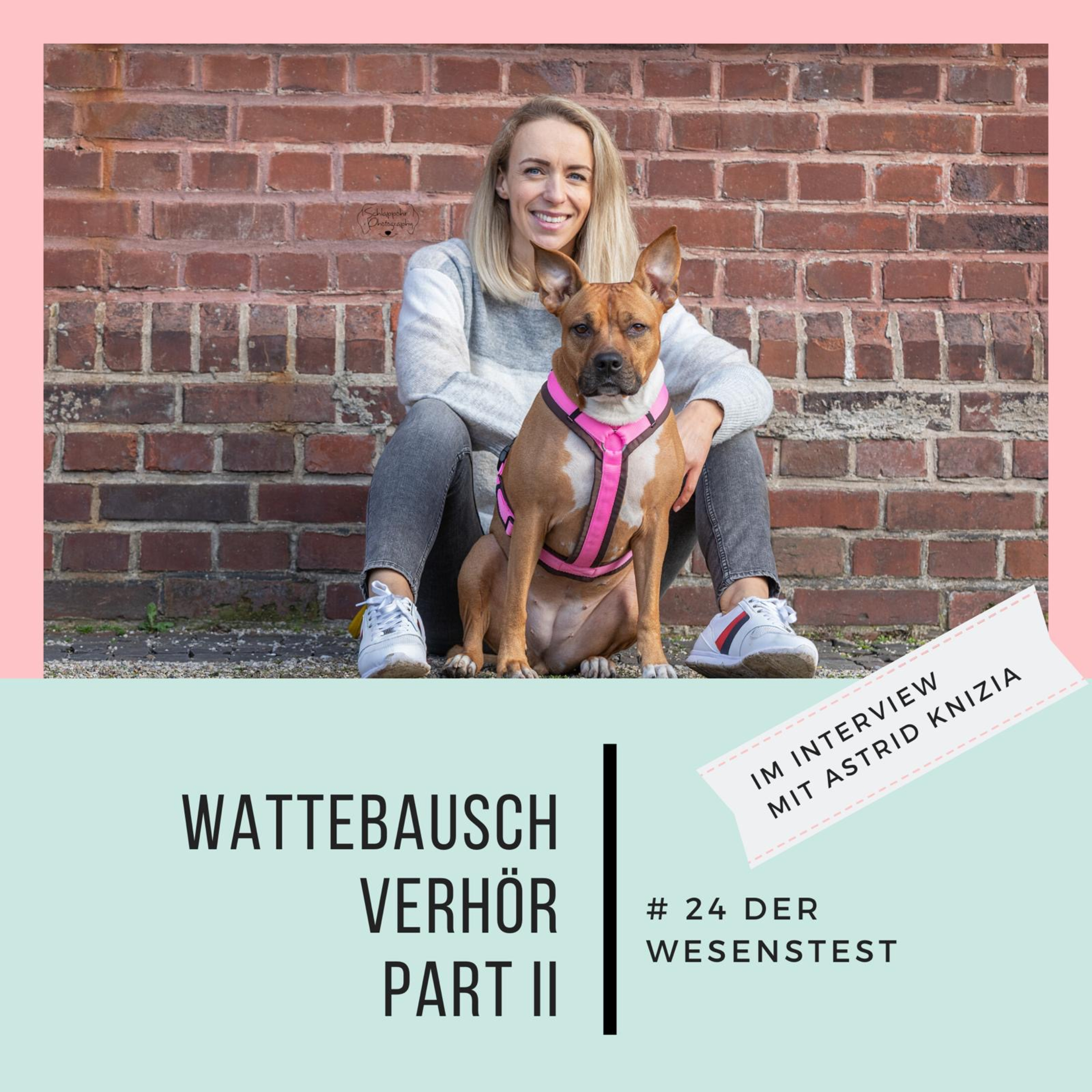 Wattebauschfraktion