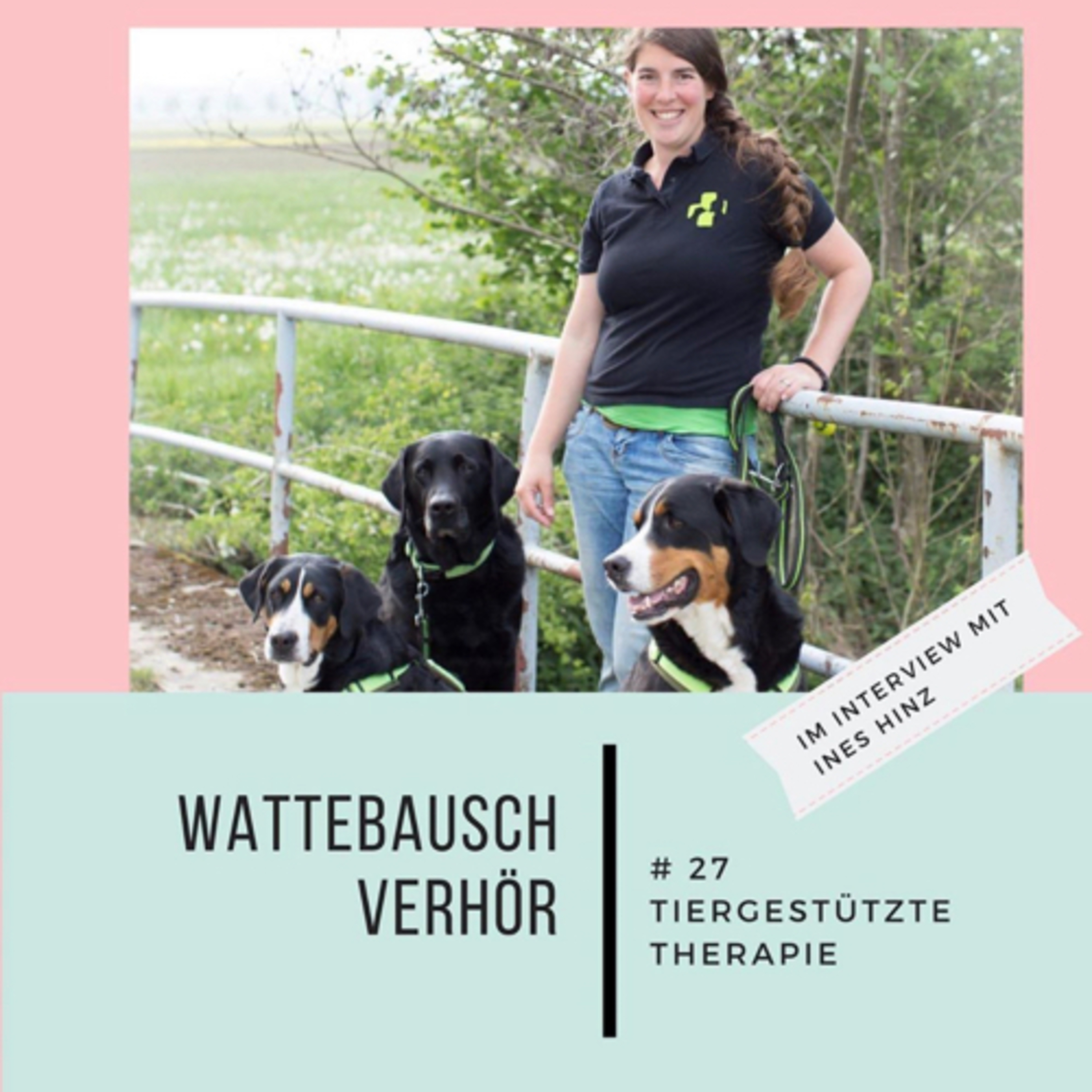 Wattebauschfraktion