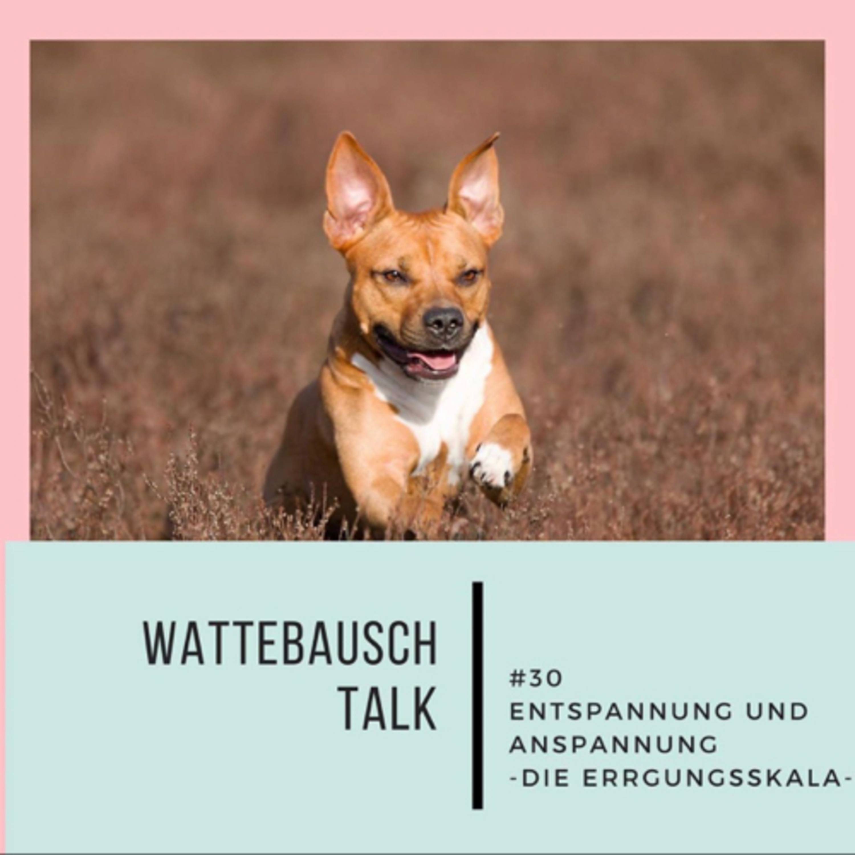 Wattebauschfraktion