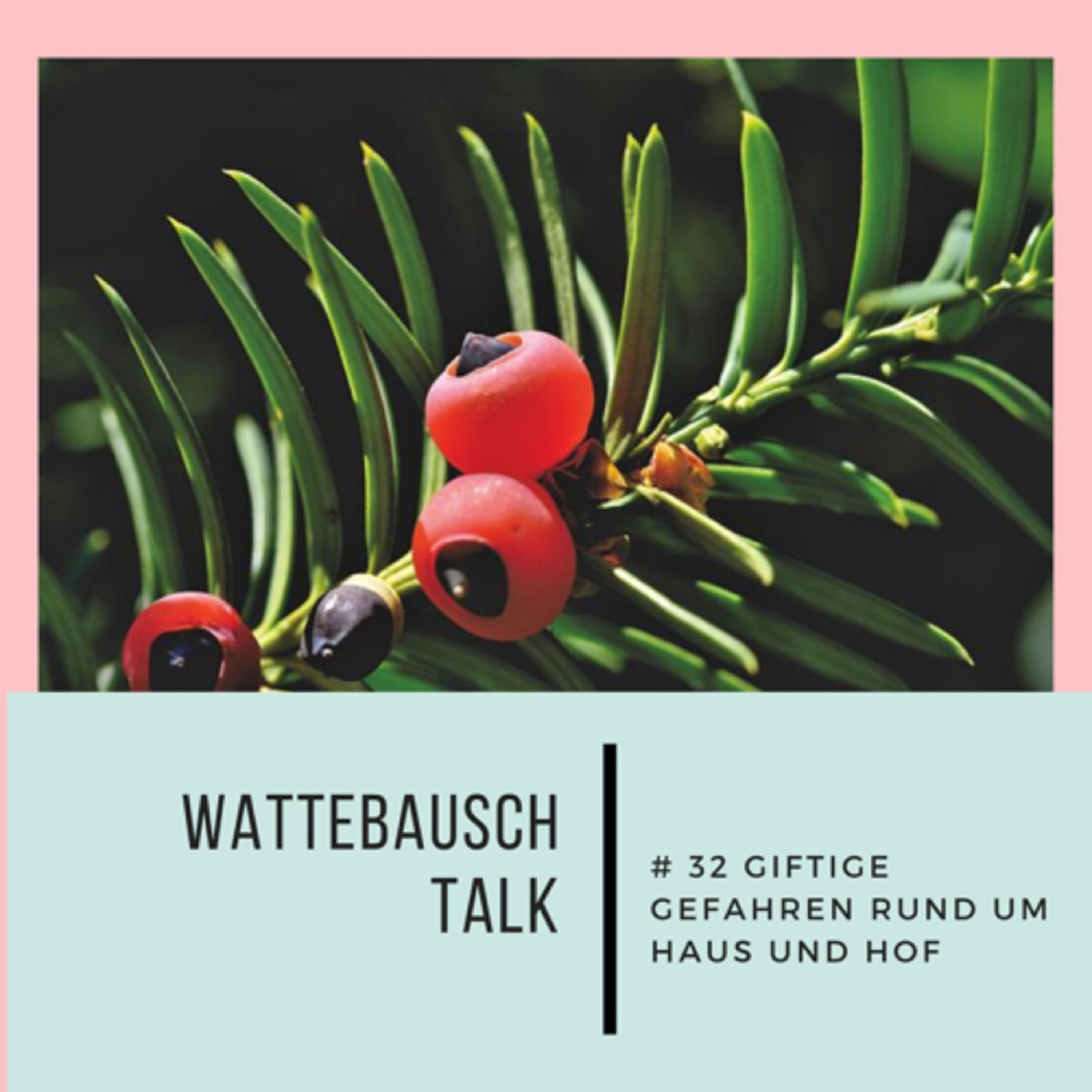 Wattebauschfraktion