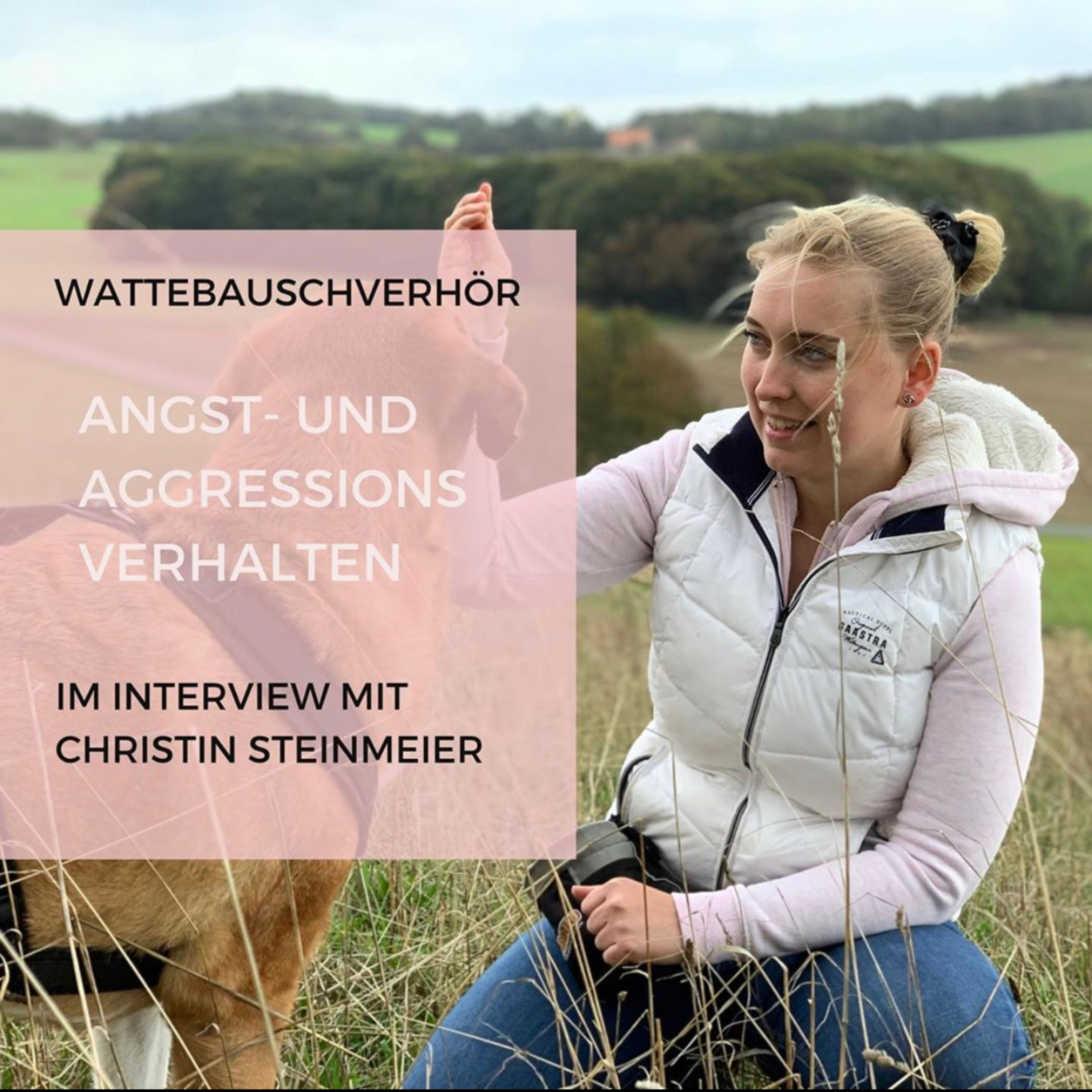 Wattebauschfraktion