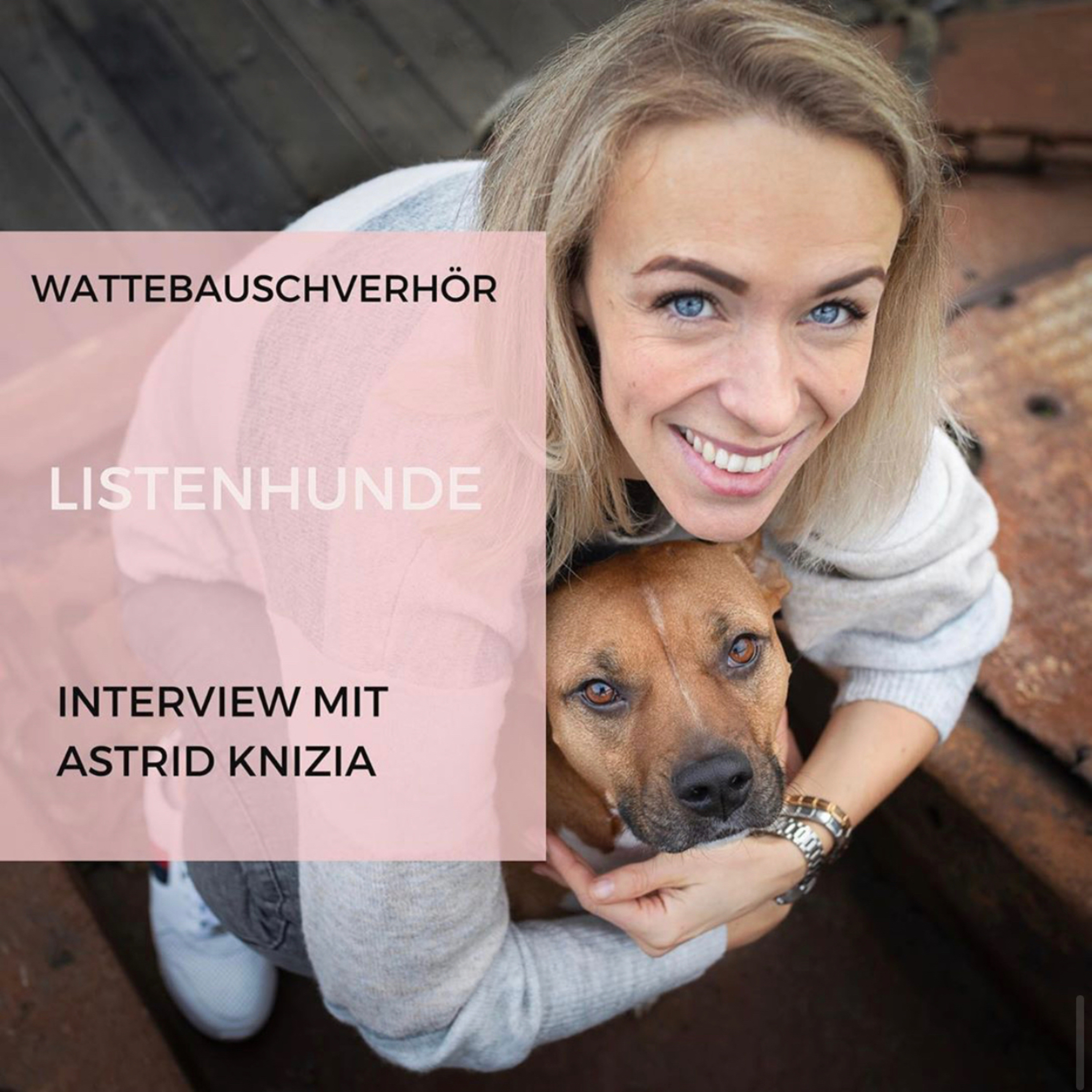 Wattebauschfraktion