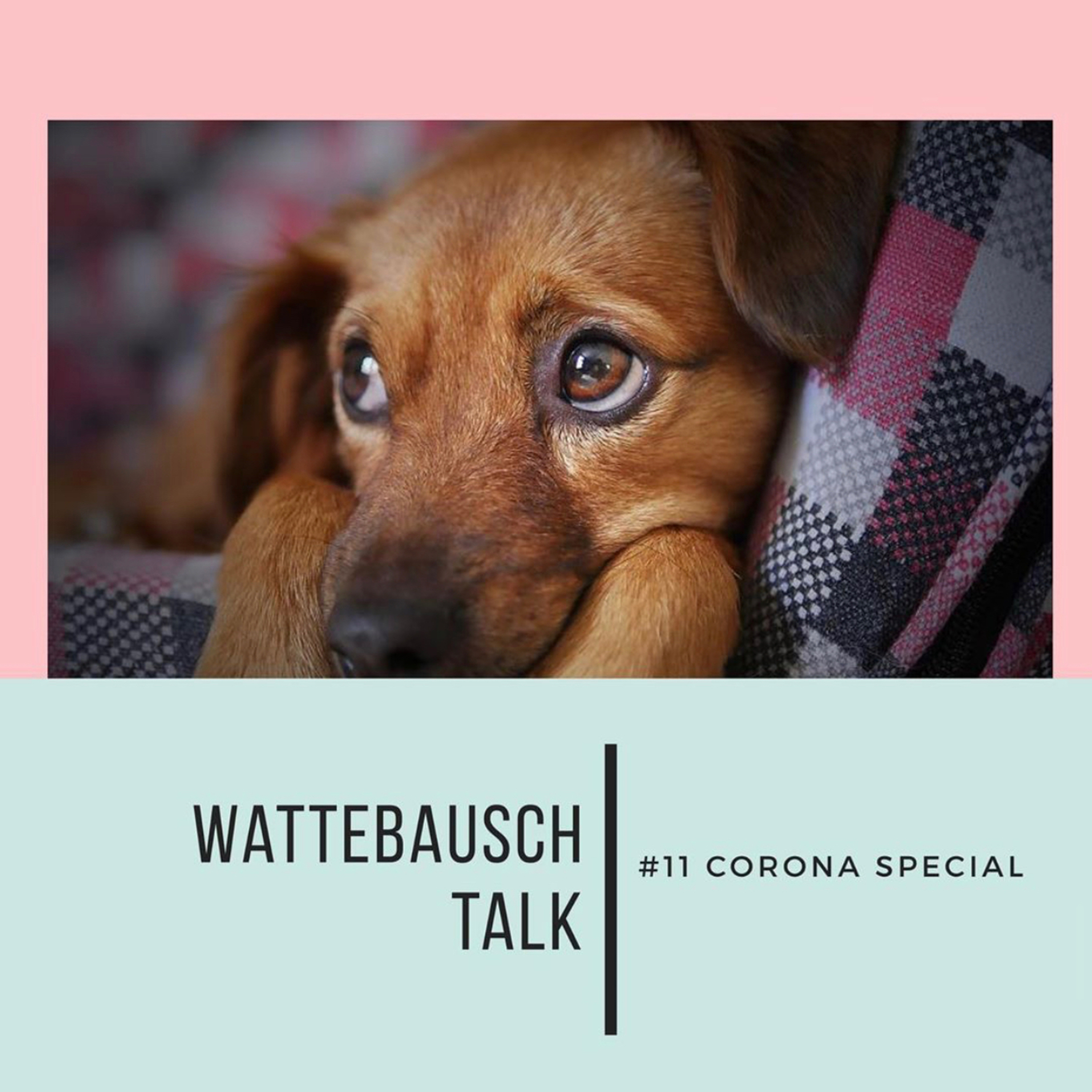 Wattebauschfraktion