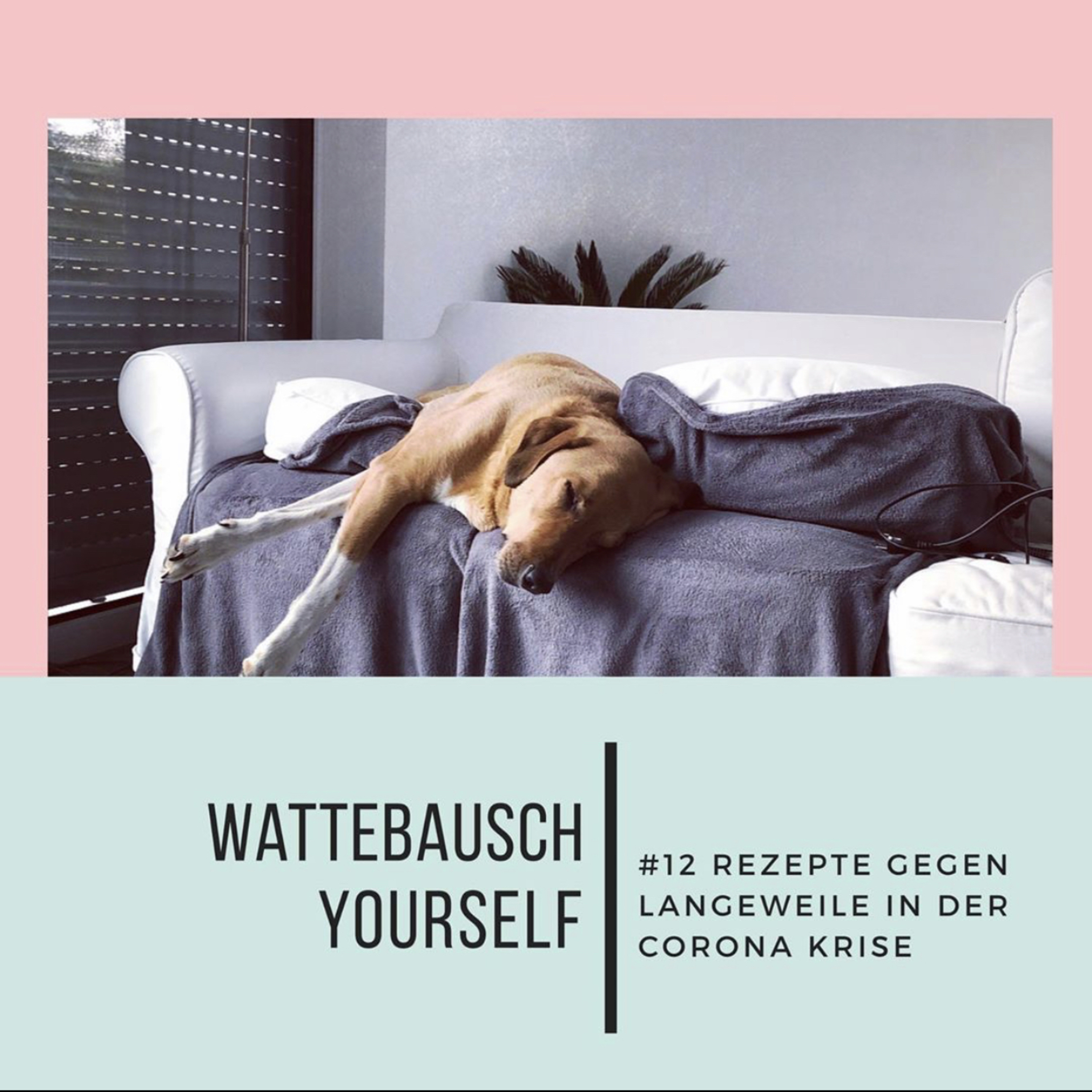 Wattebauschfraktion