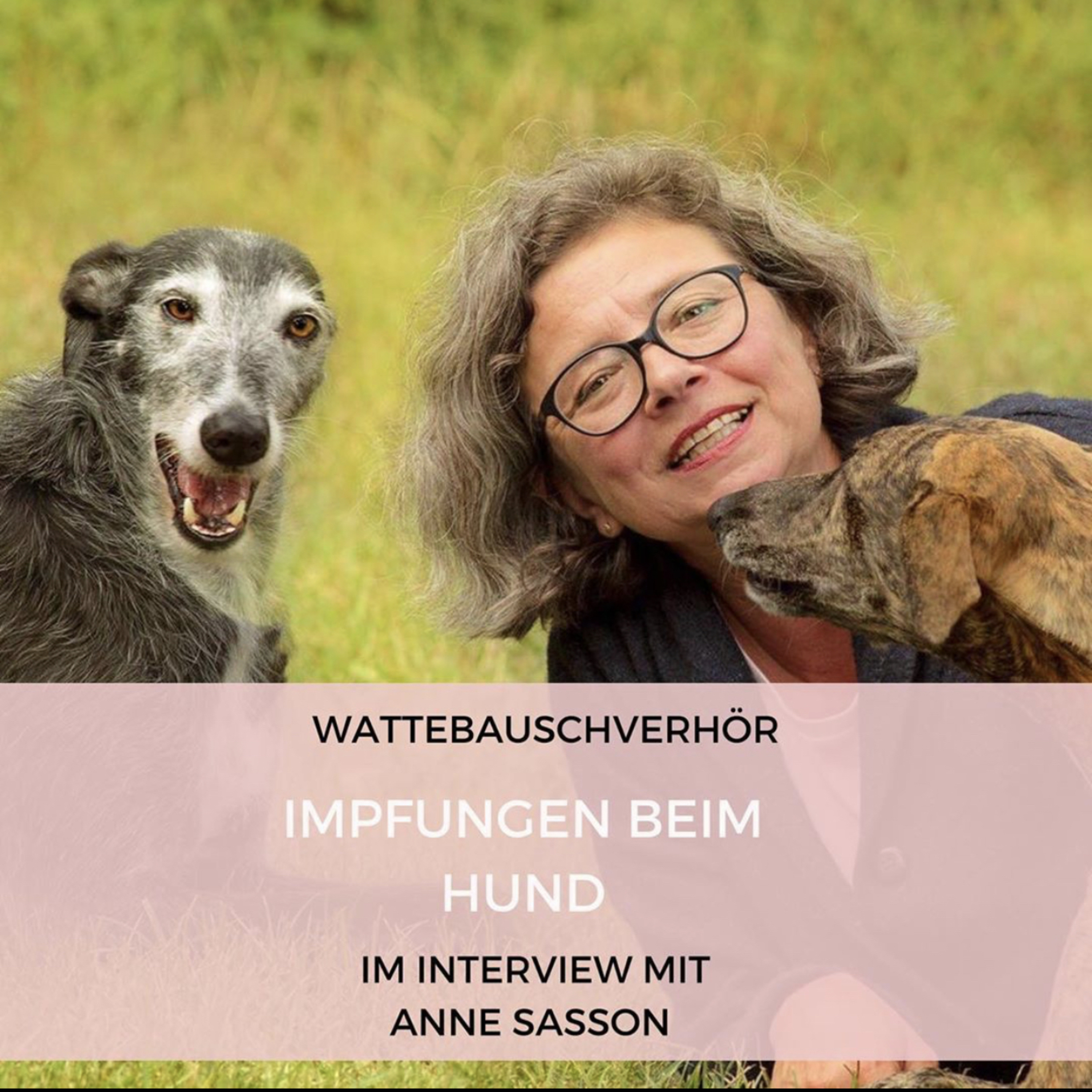 Wattebauschfraktion