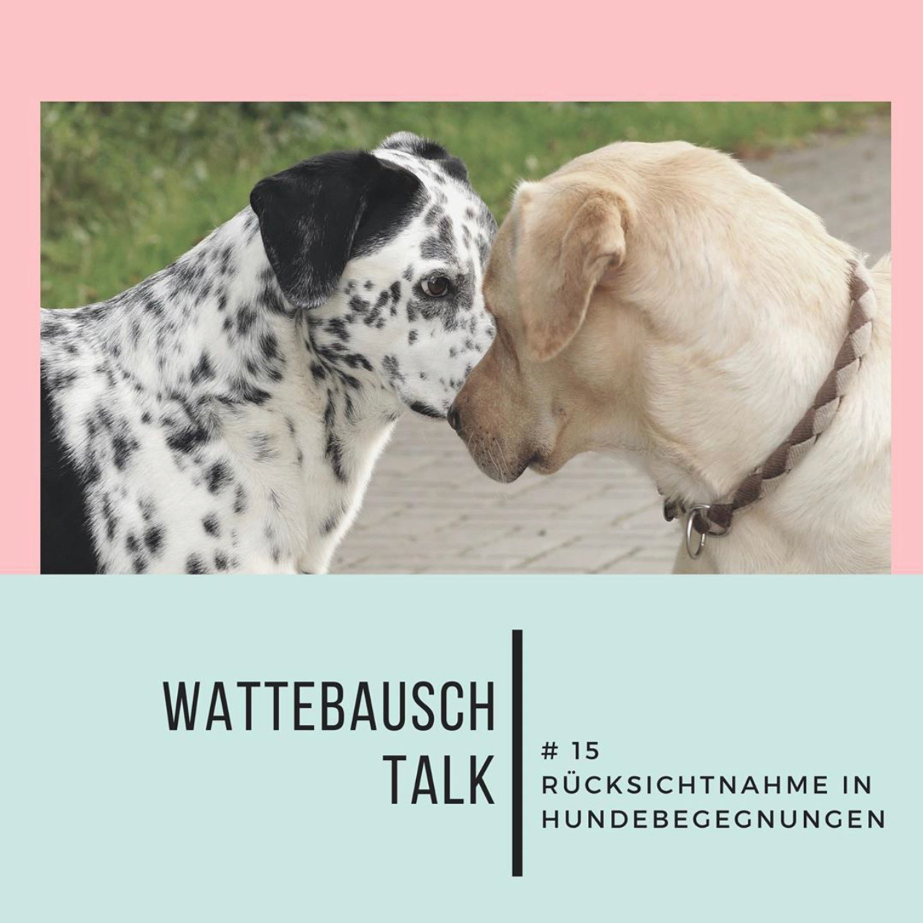 Wattebauschfraktion