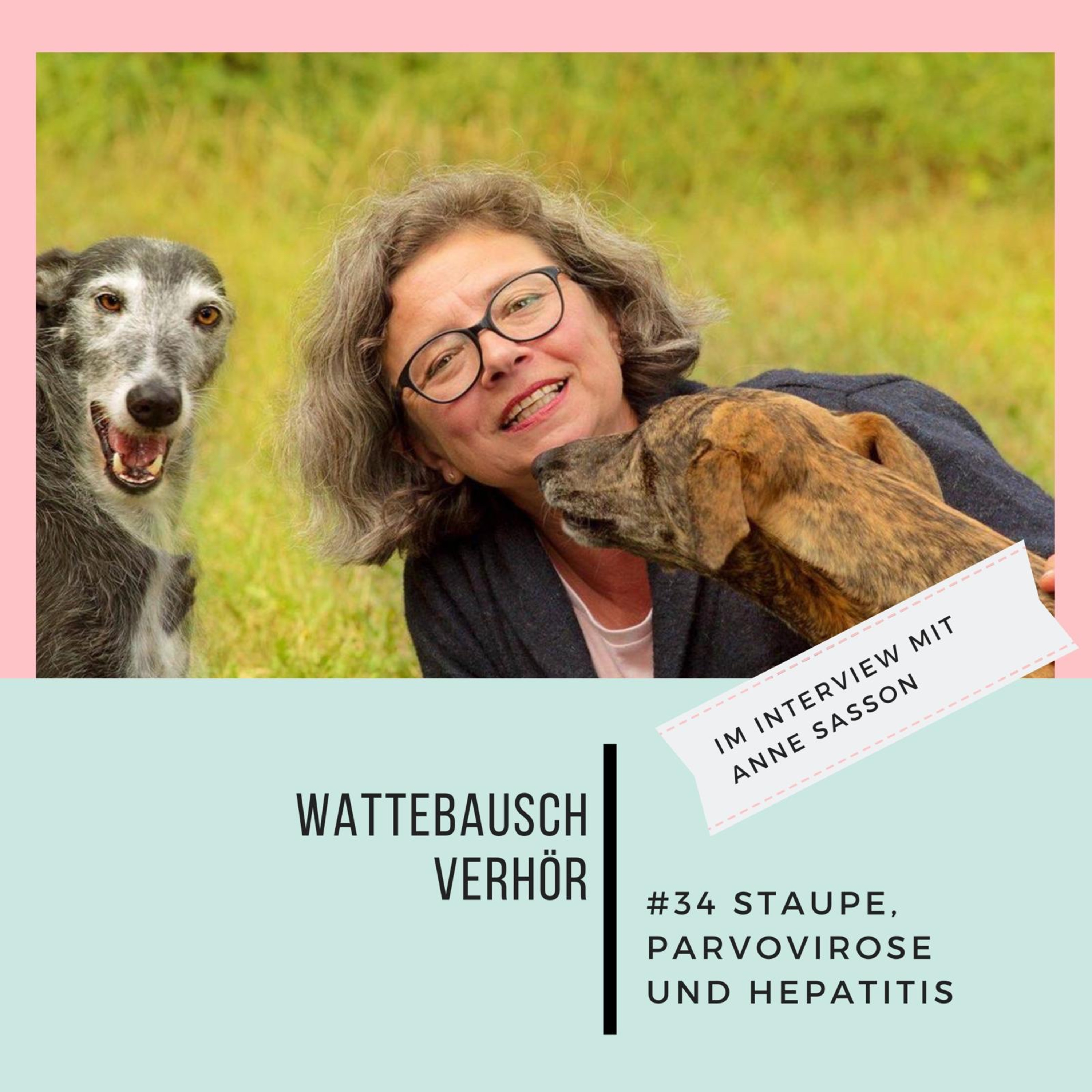 Wattebauschfraktion