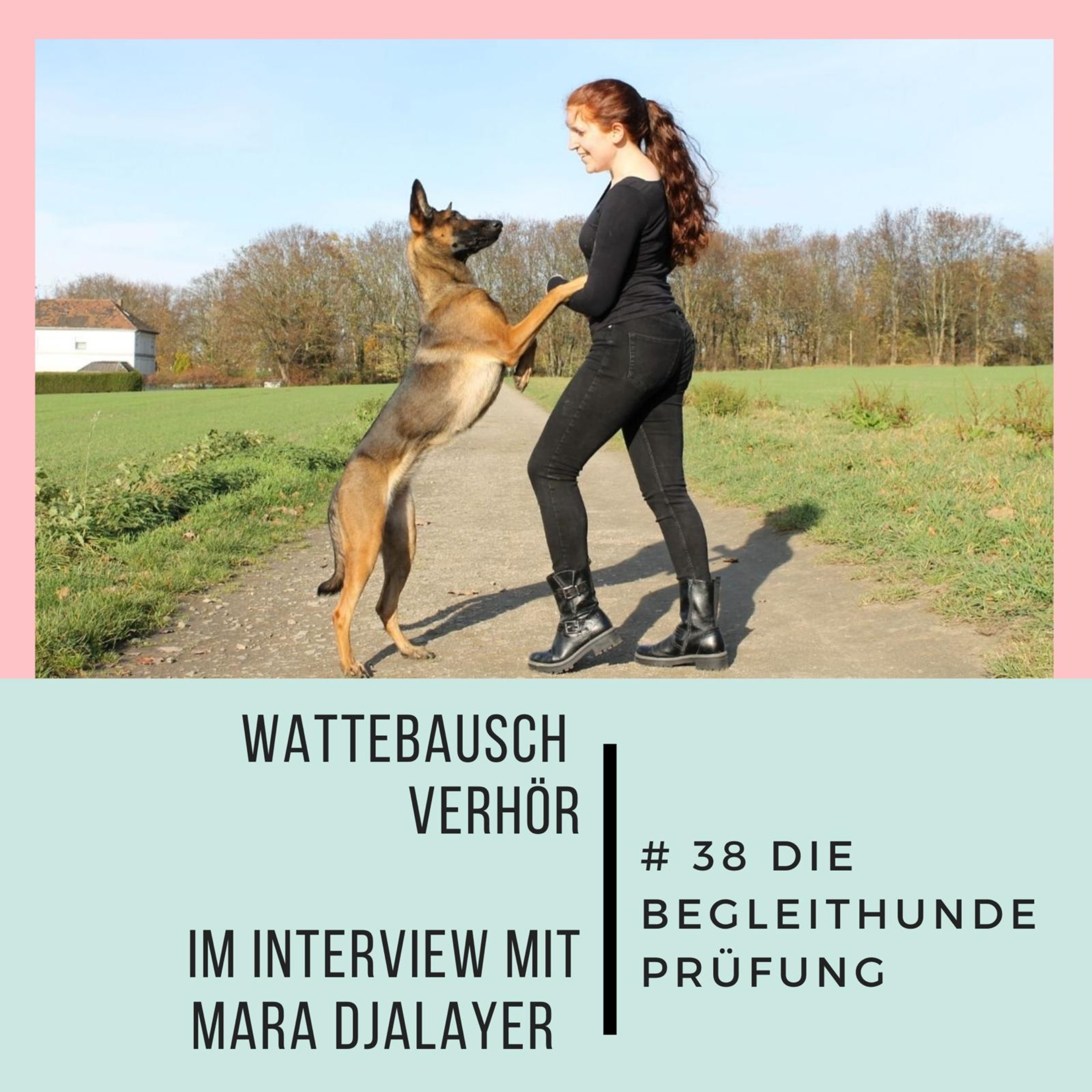 #38 Wattebauschverhör mit Mara Djalayer: Die Begleithundeprüfung
