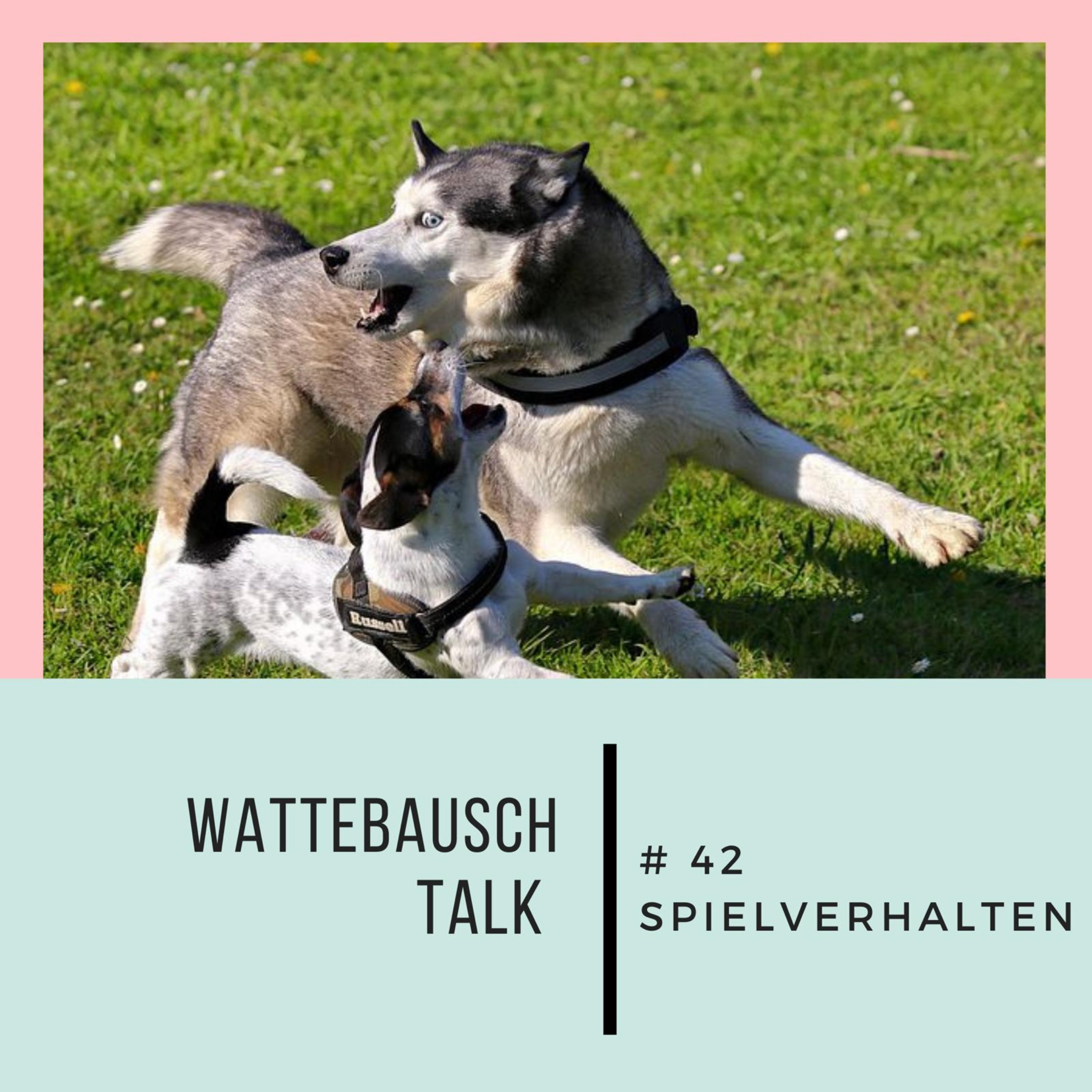 #42 Wattebauschtalk: Spielverhalten