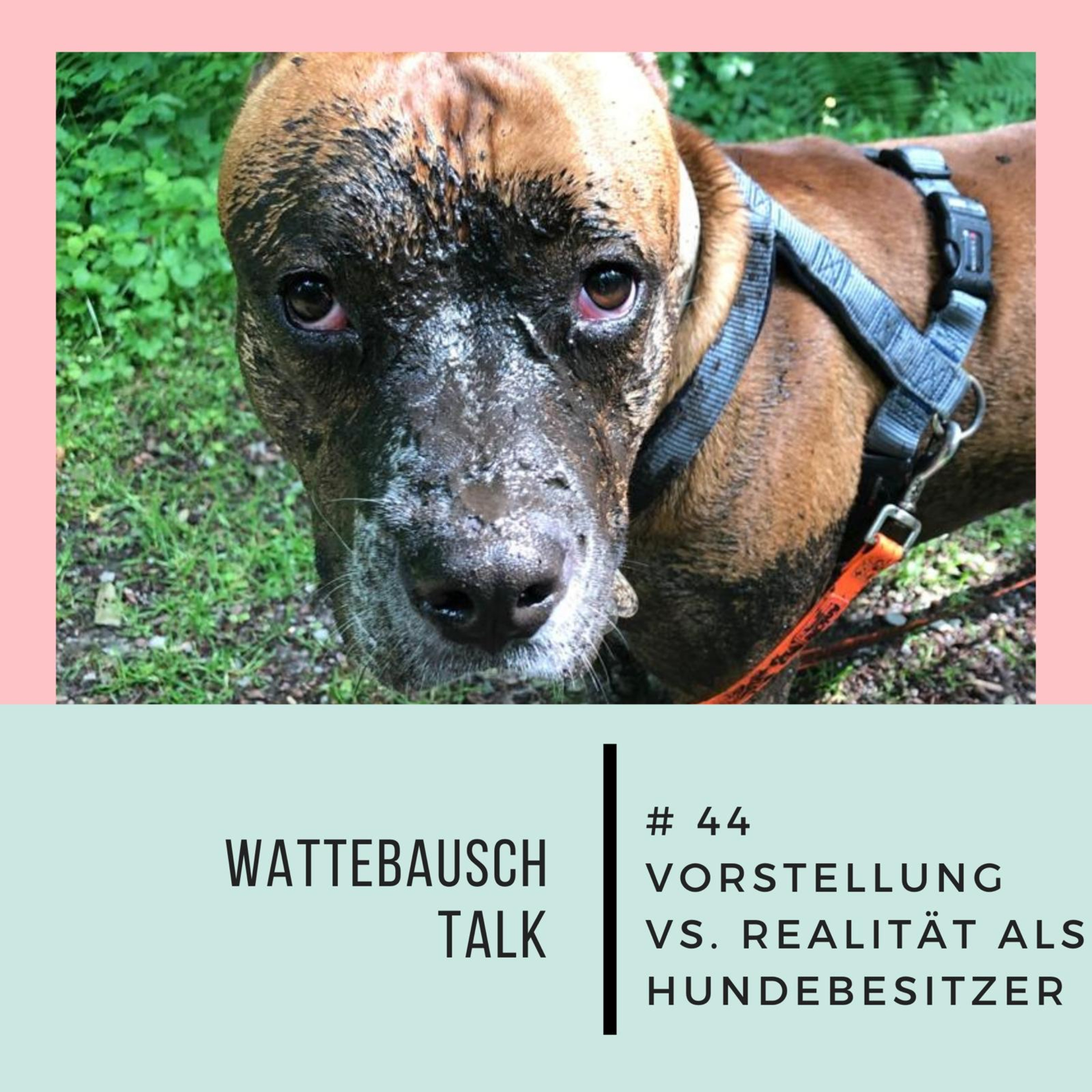 #44 Wattebauschtalk: Vorstellung vs. Realität als Hundebesitzer