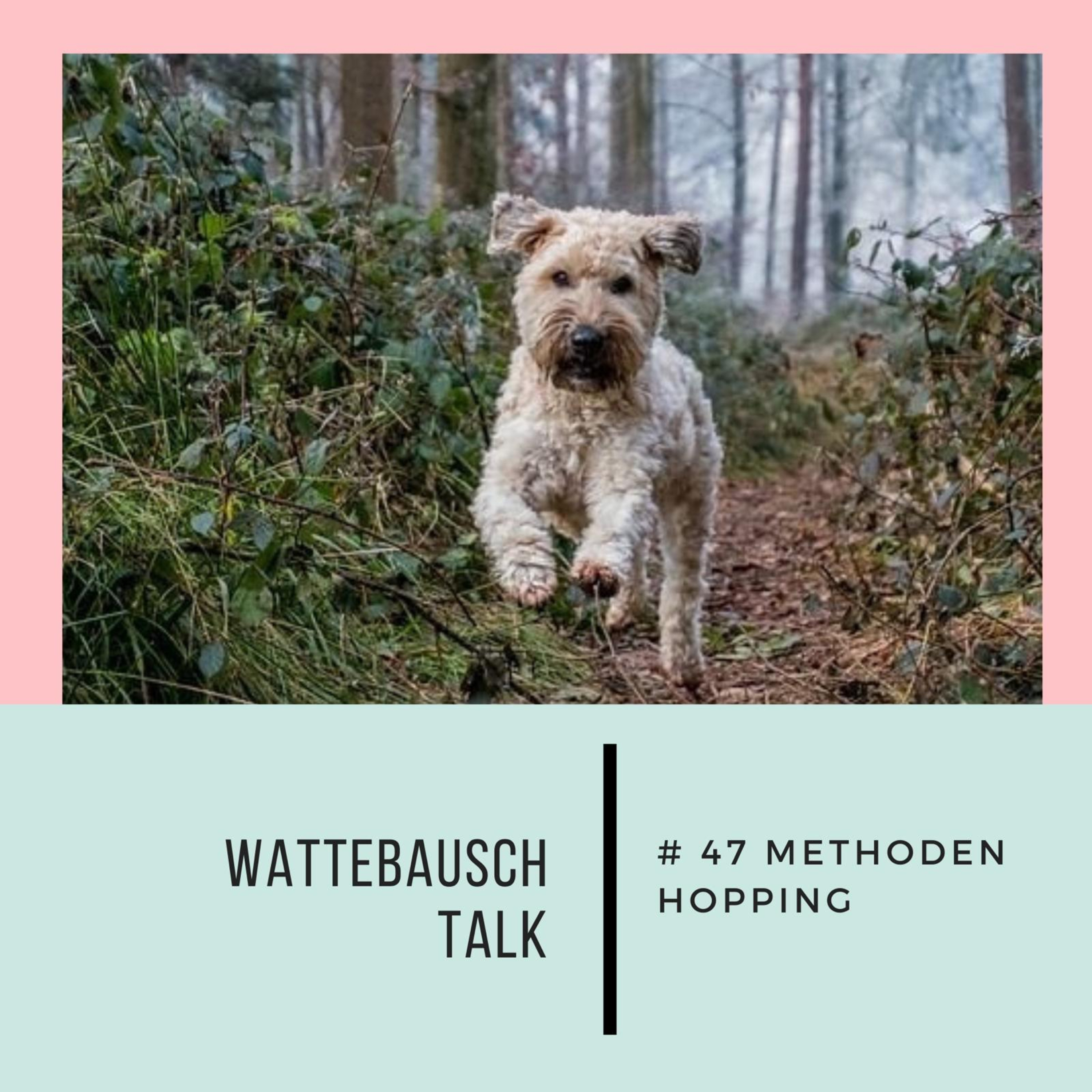Wattebauschfraktion