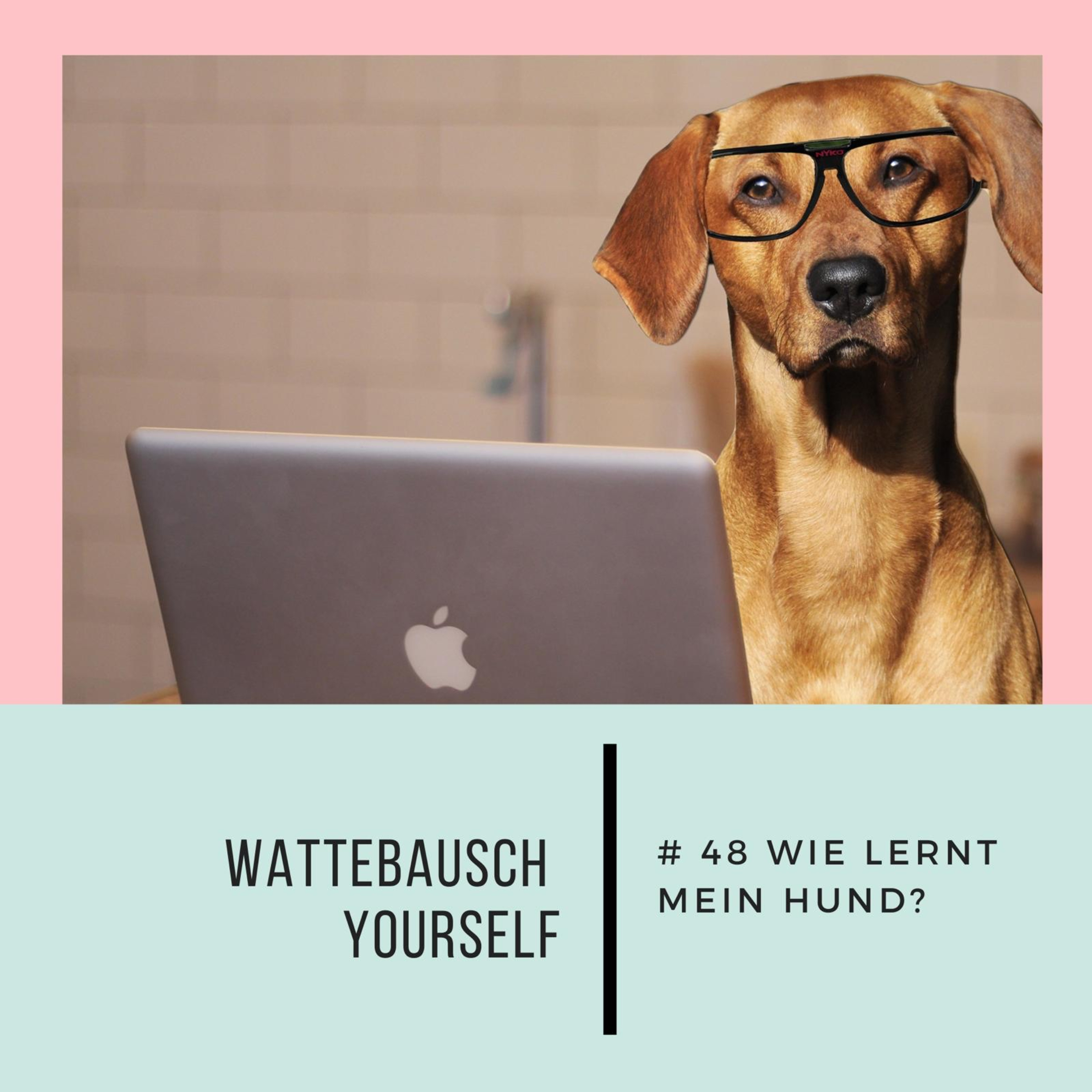 Wattebauschfraktion