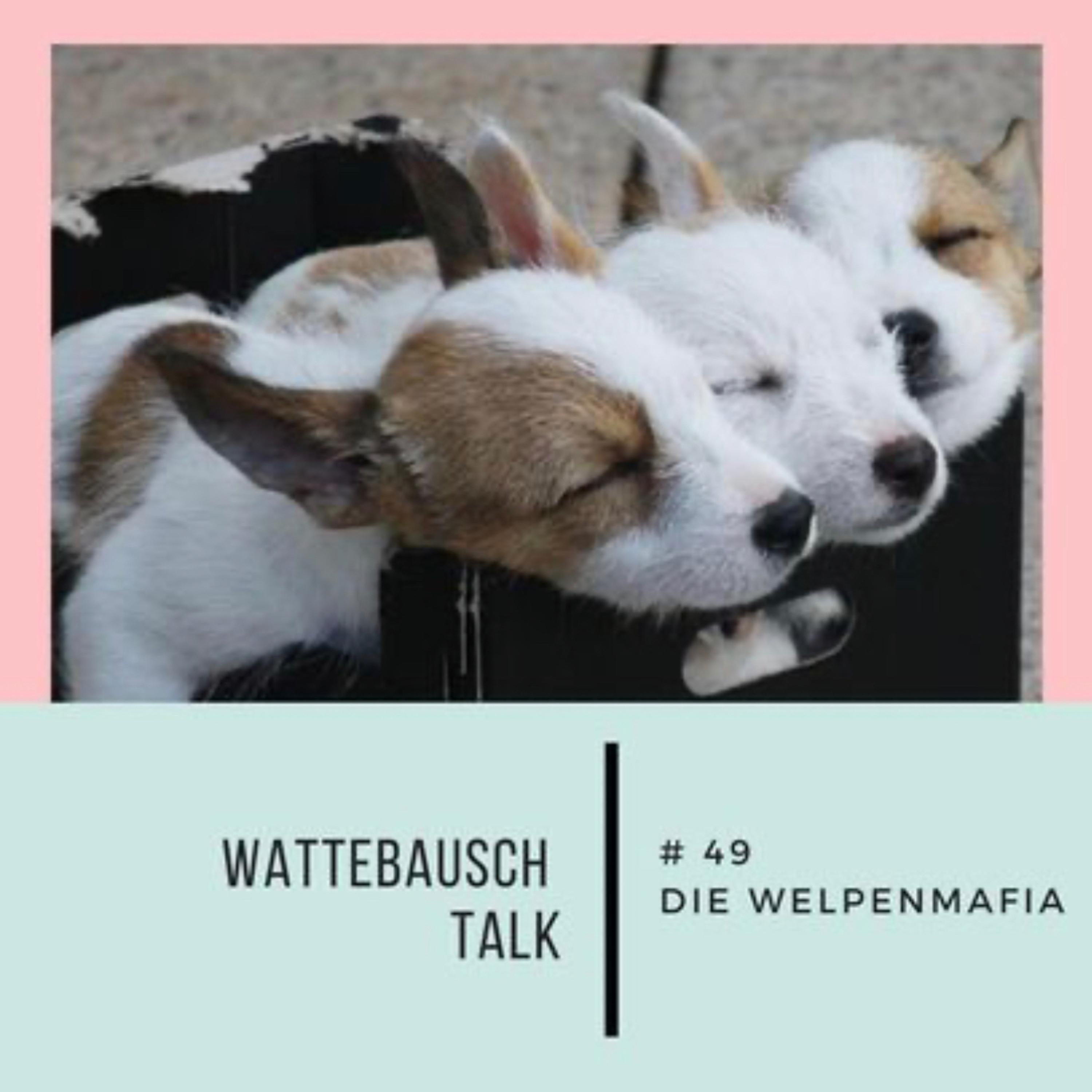 Wattebauschfraktion