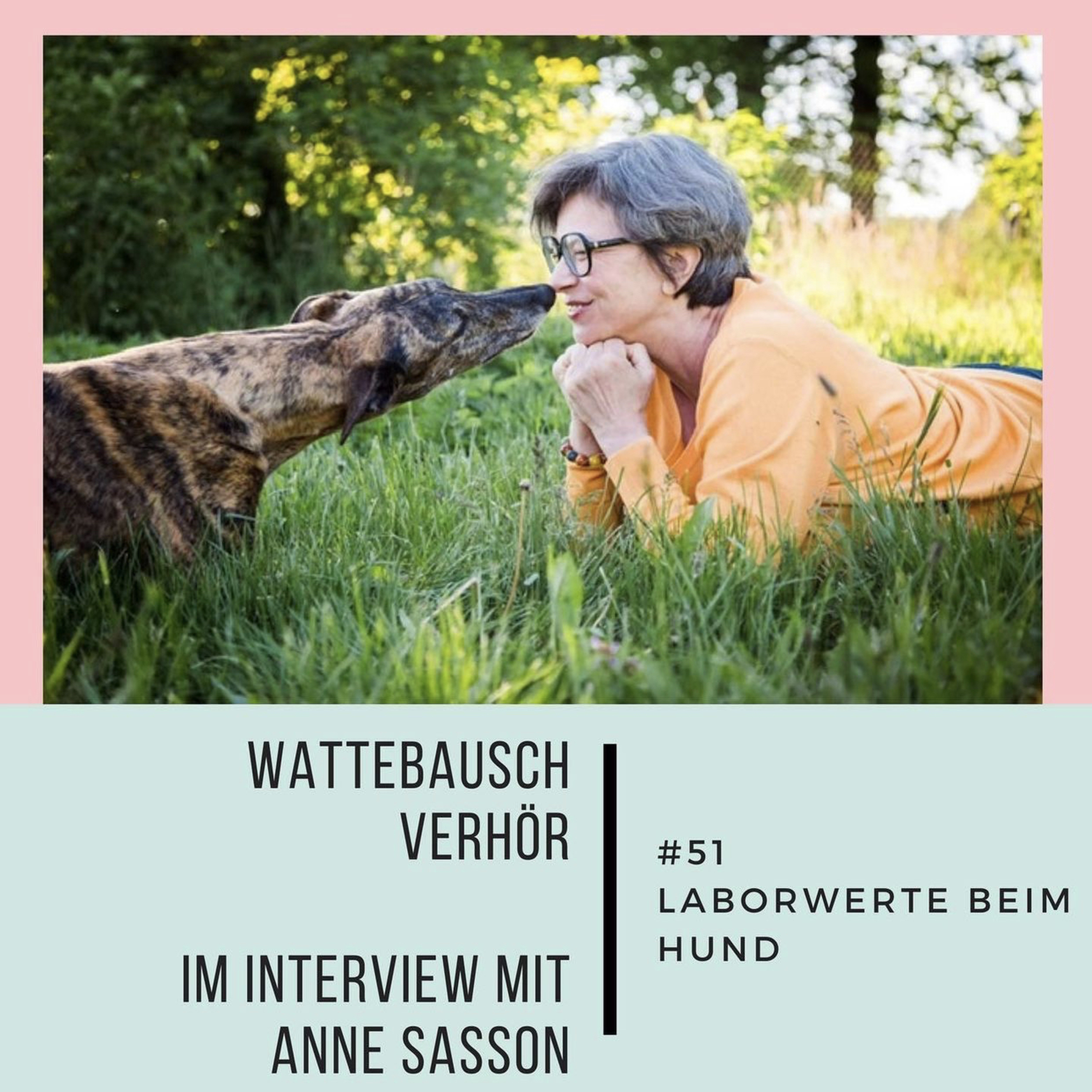 Wattebauschfraktion