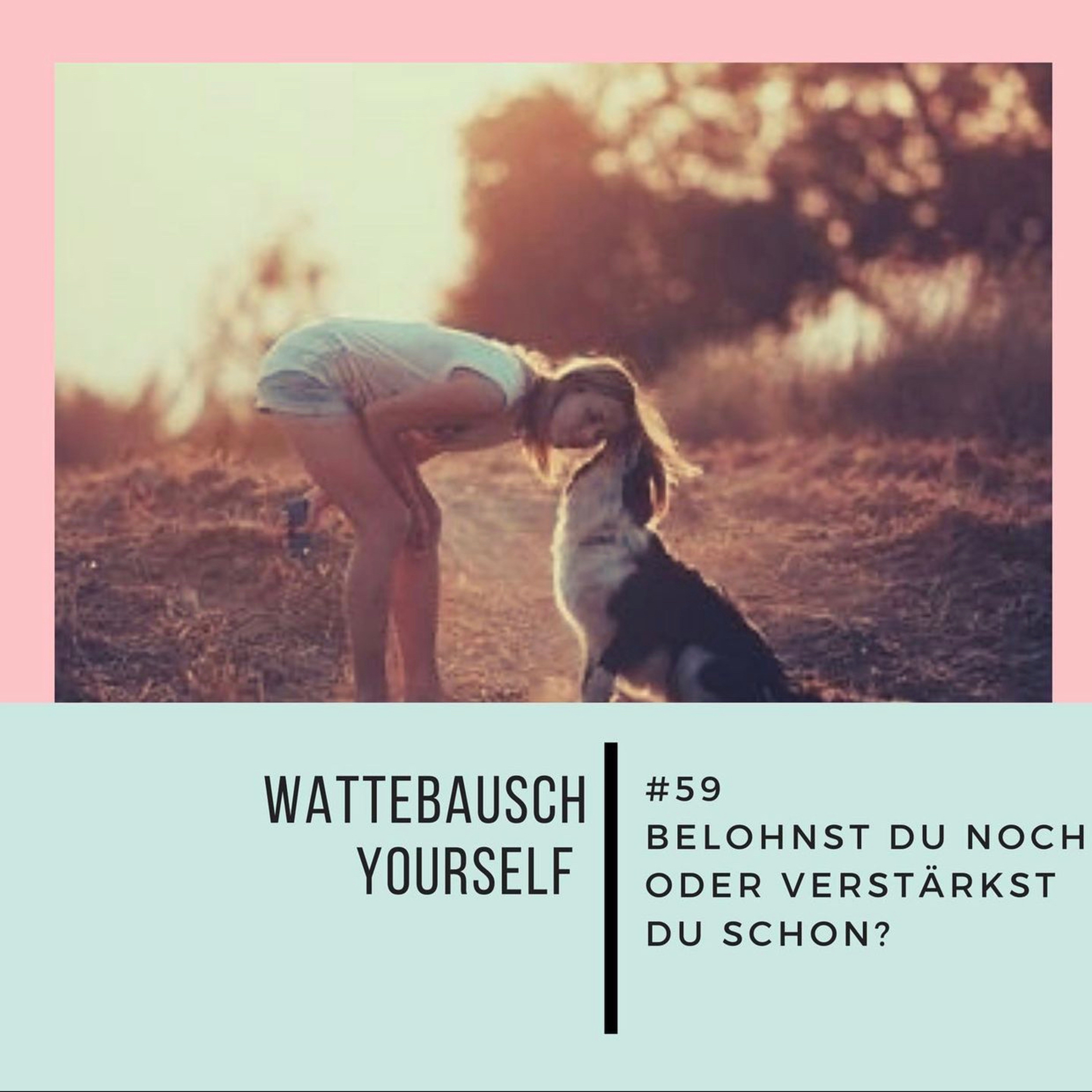 Wattebauschfraktion
