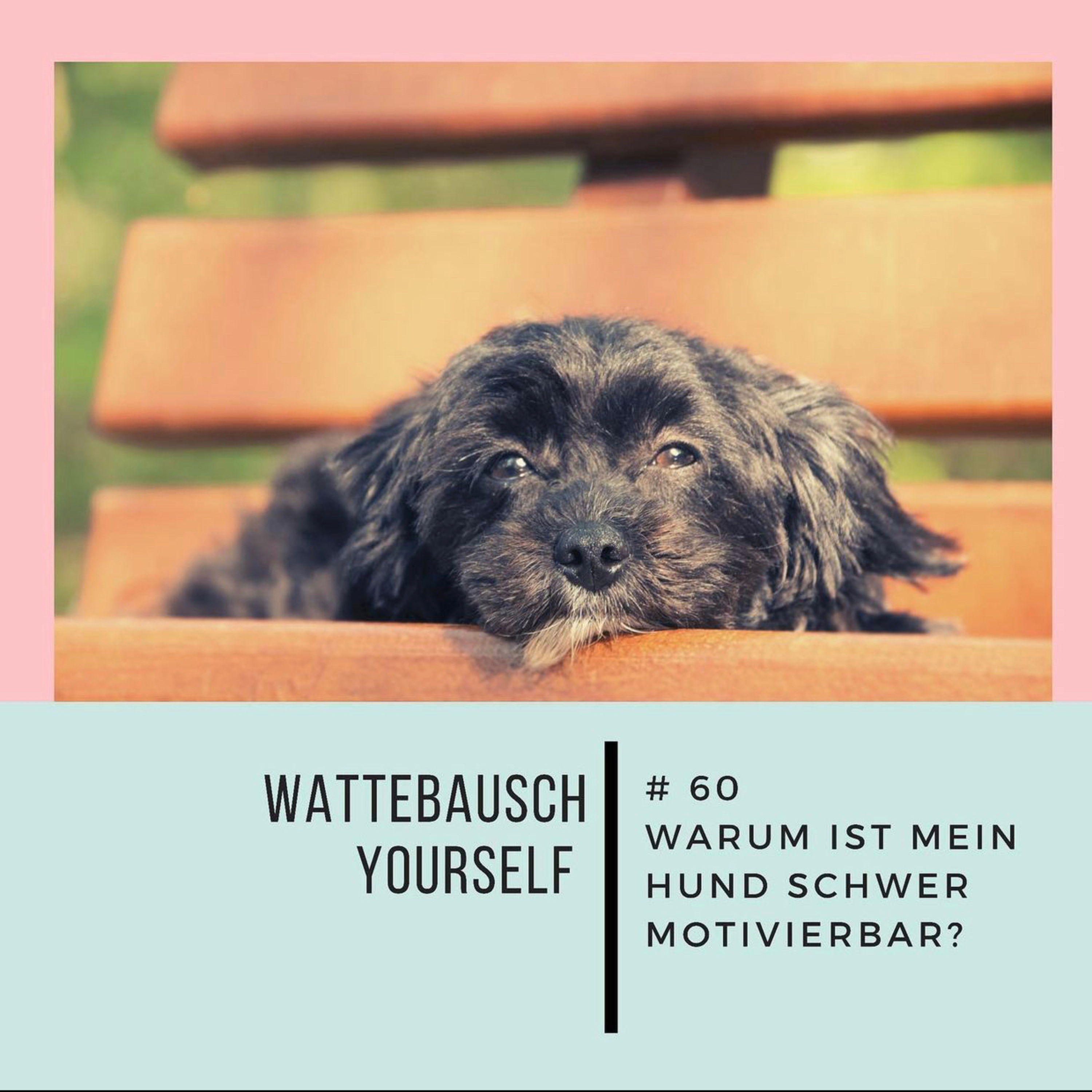 Wattebauschfraktion