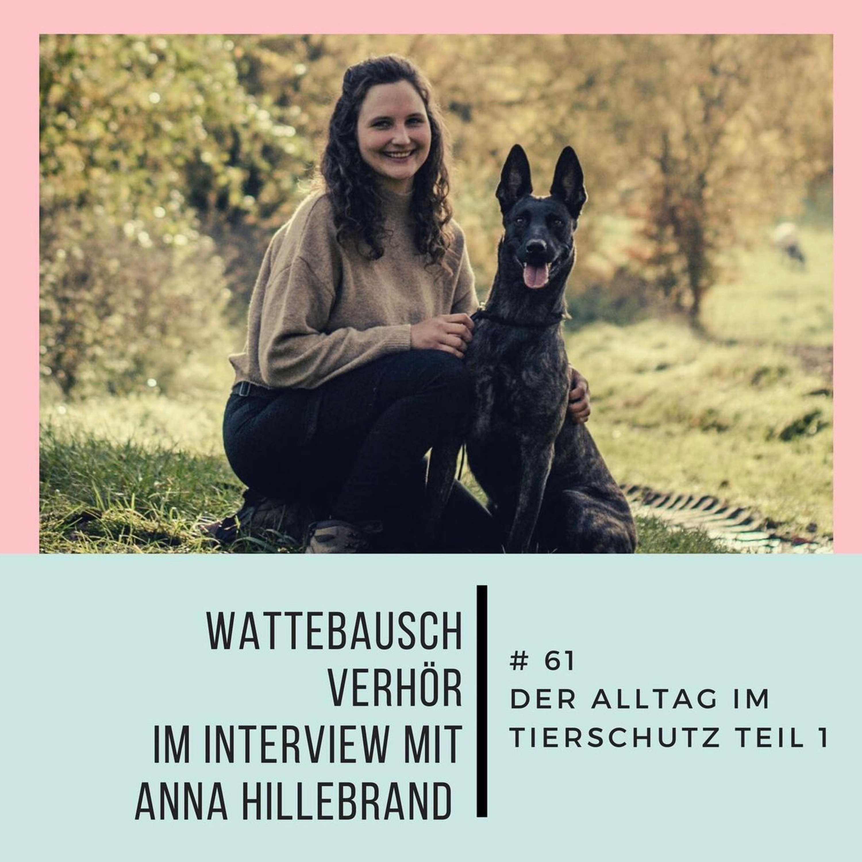 Wattebauschfraktion