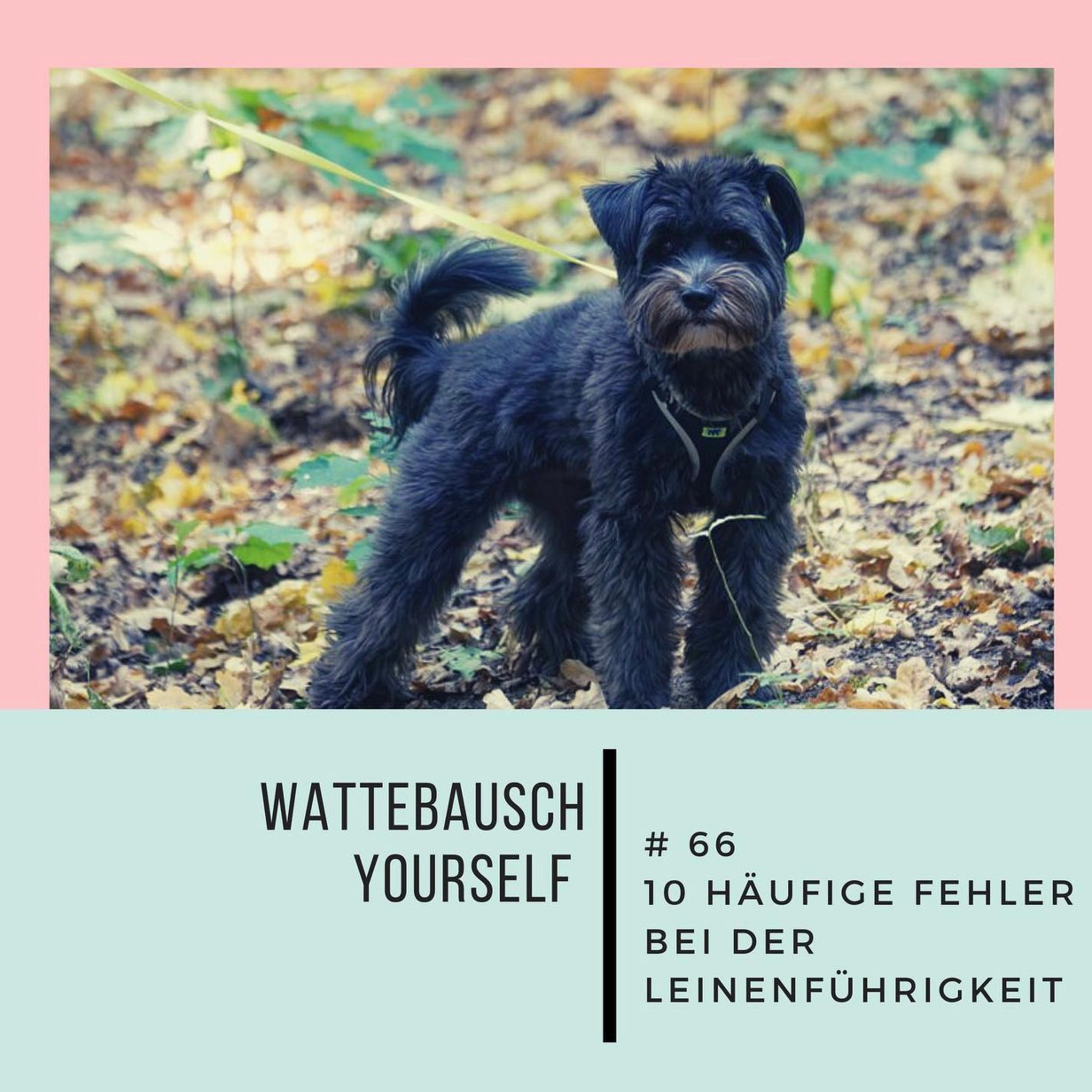 Wattebauschfraktion