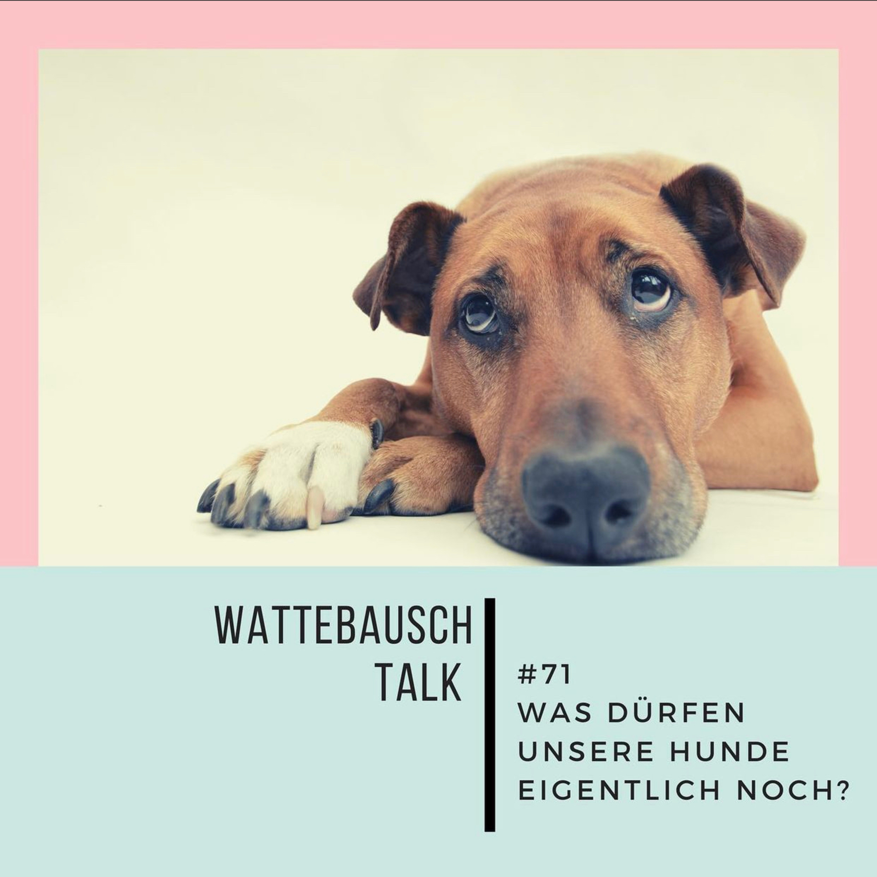 Wattebauschfraktion