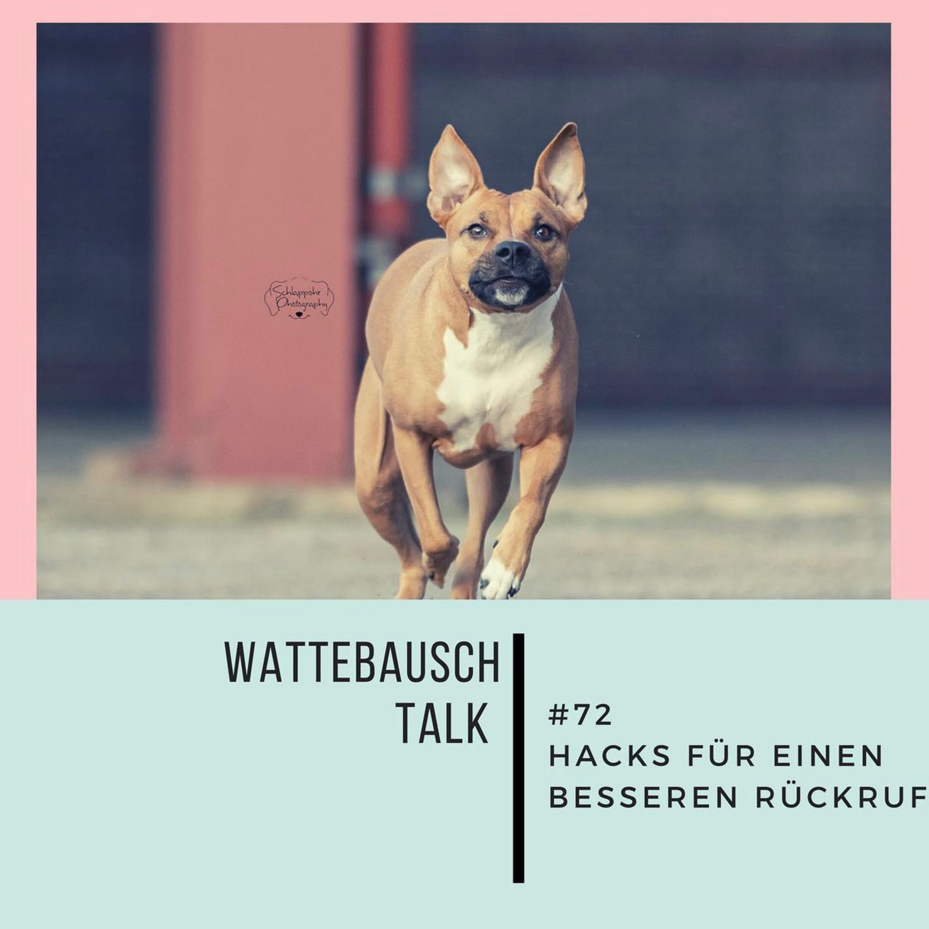 Wattebauschfraktion