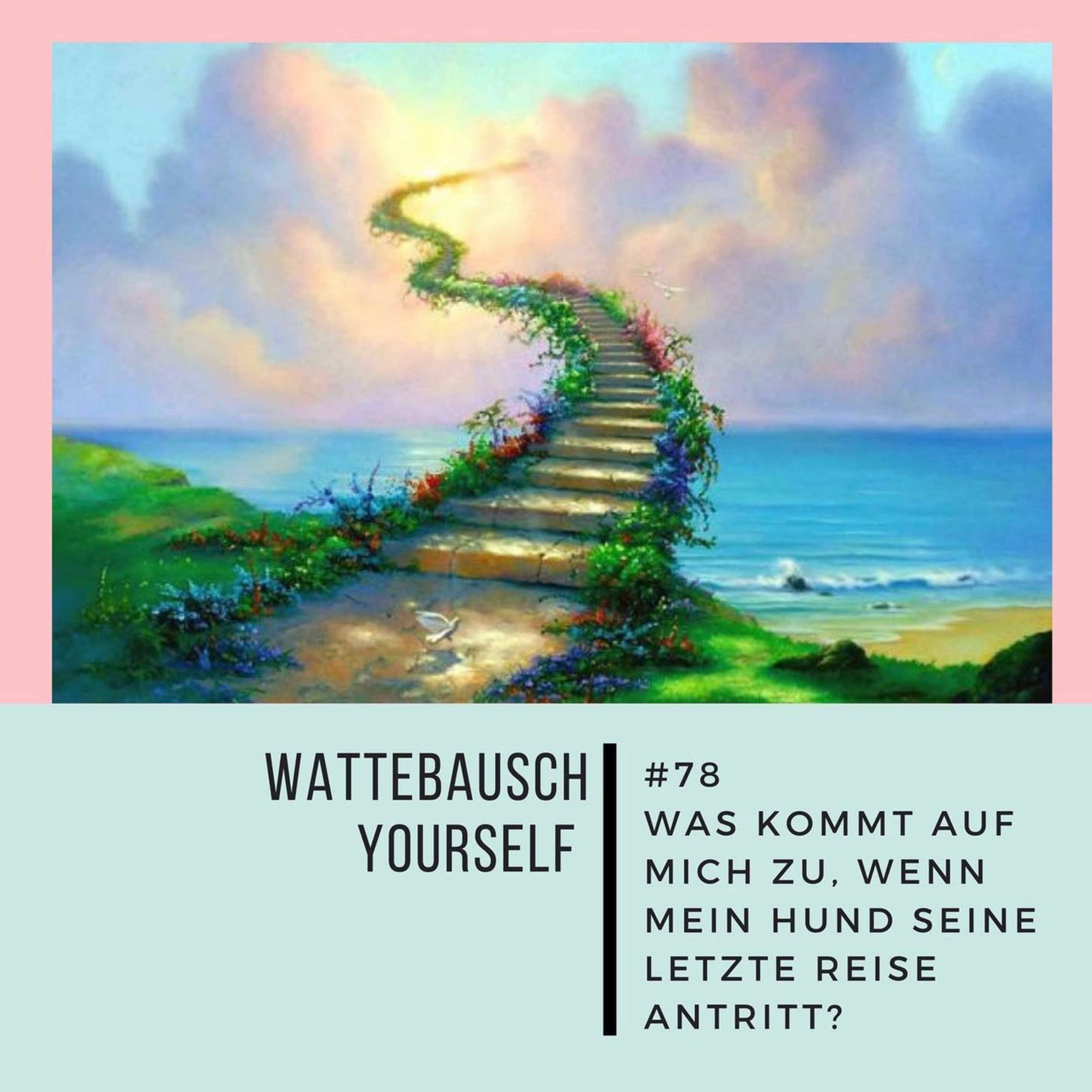 Wattebauschfraktion