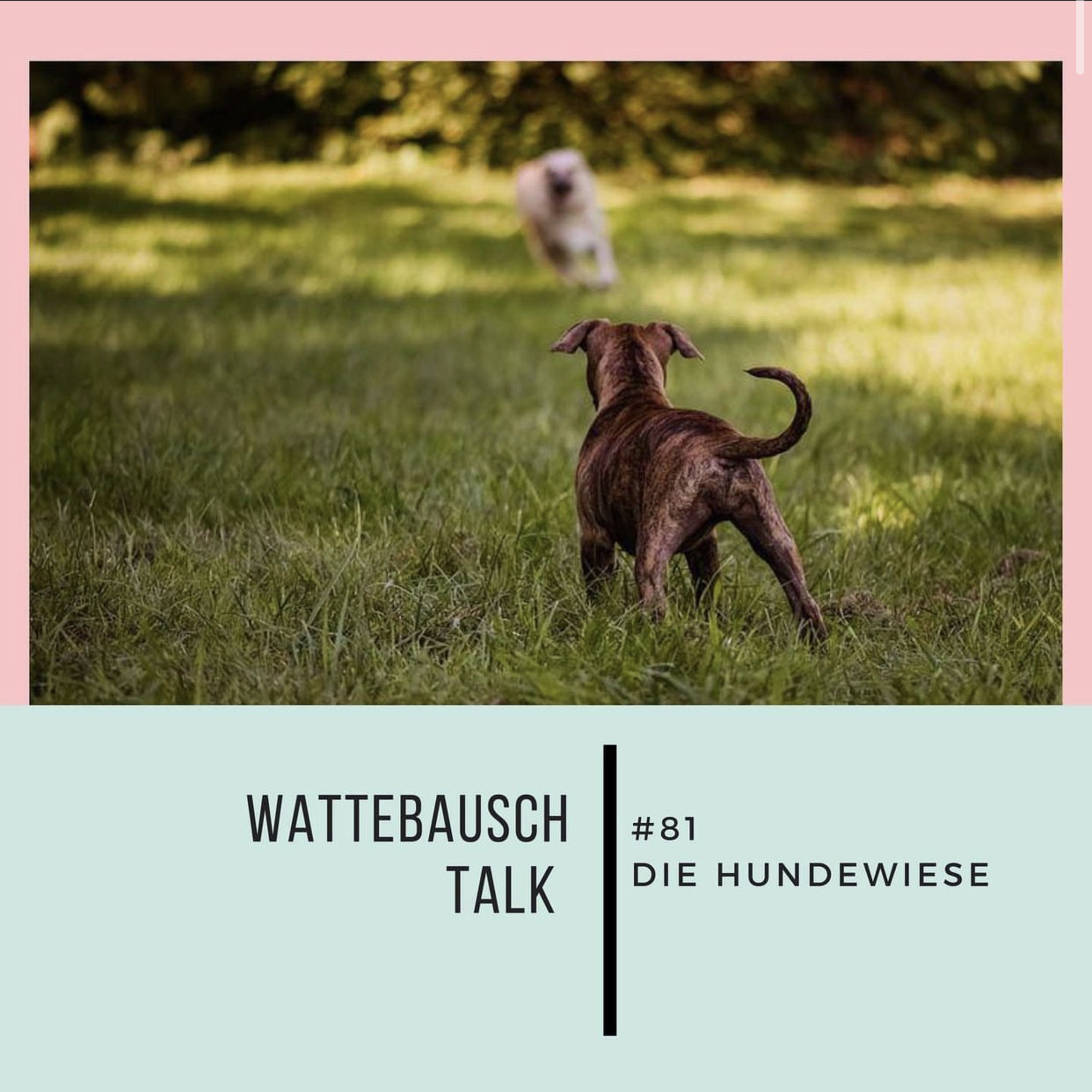 Wattebauschfraktion