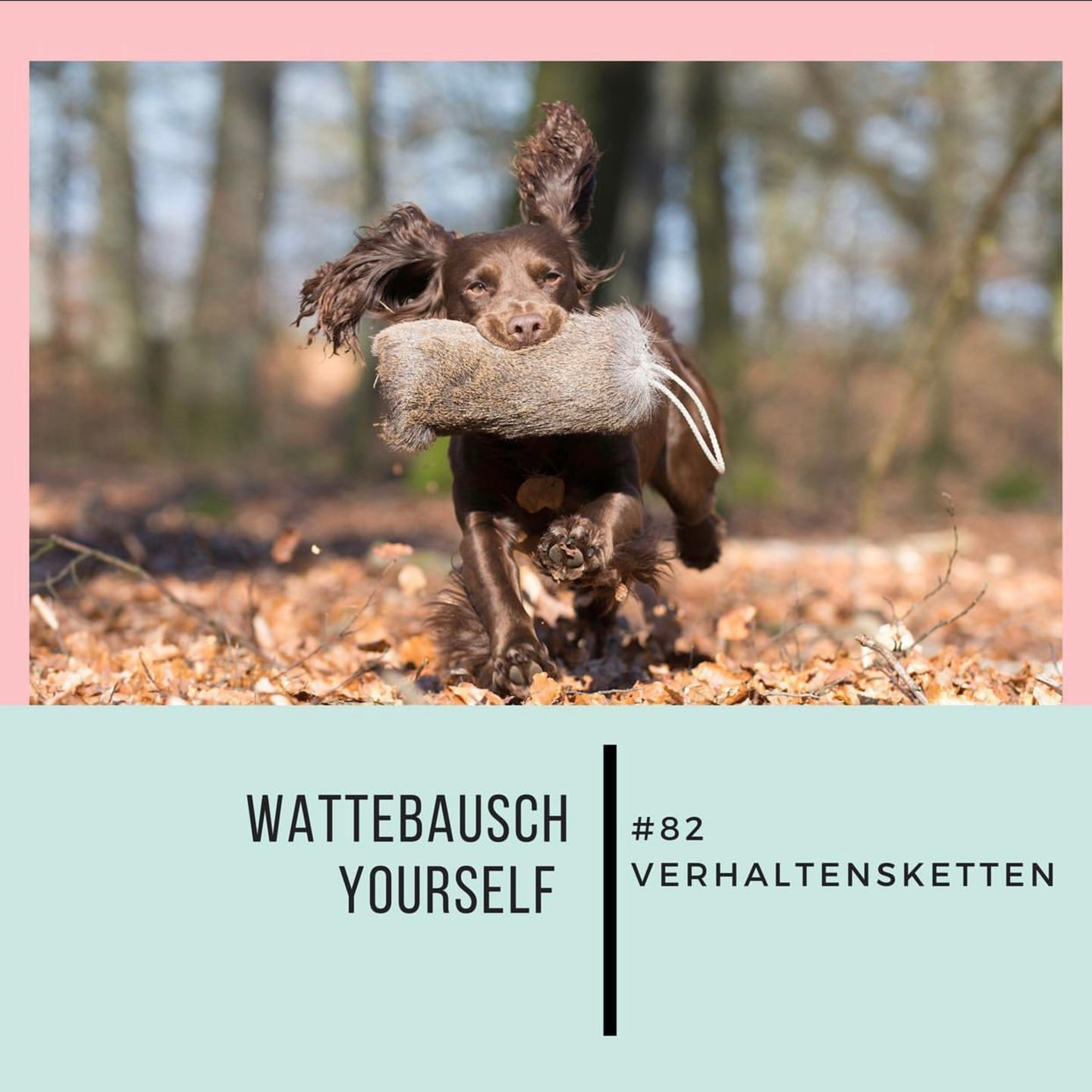 Wattebauschfraktion
