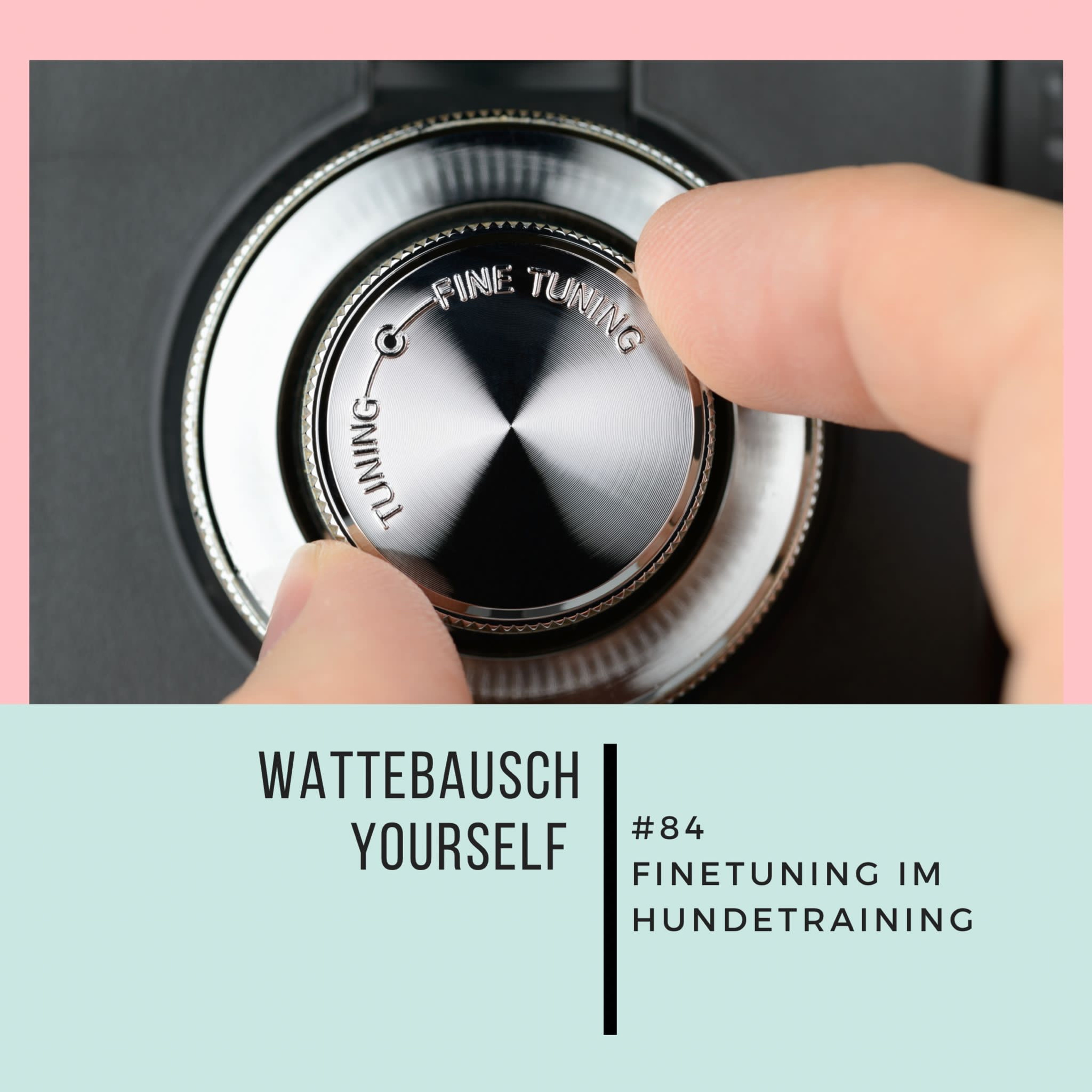 Wattebauschfraktion