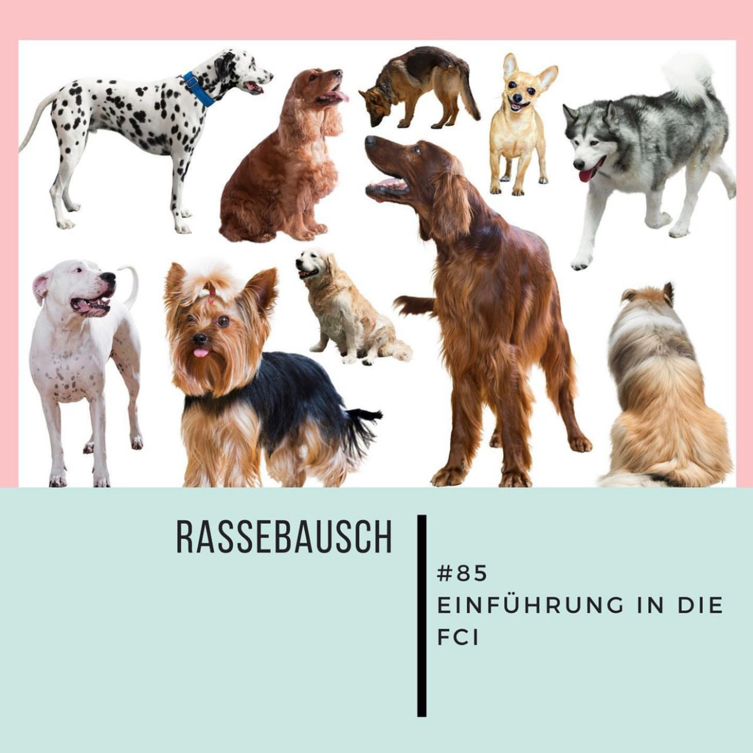 Wattebauschfraktion