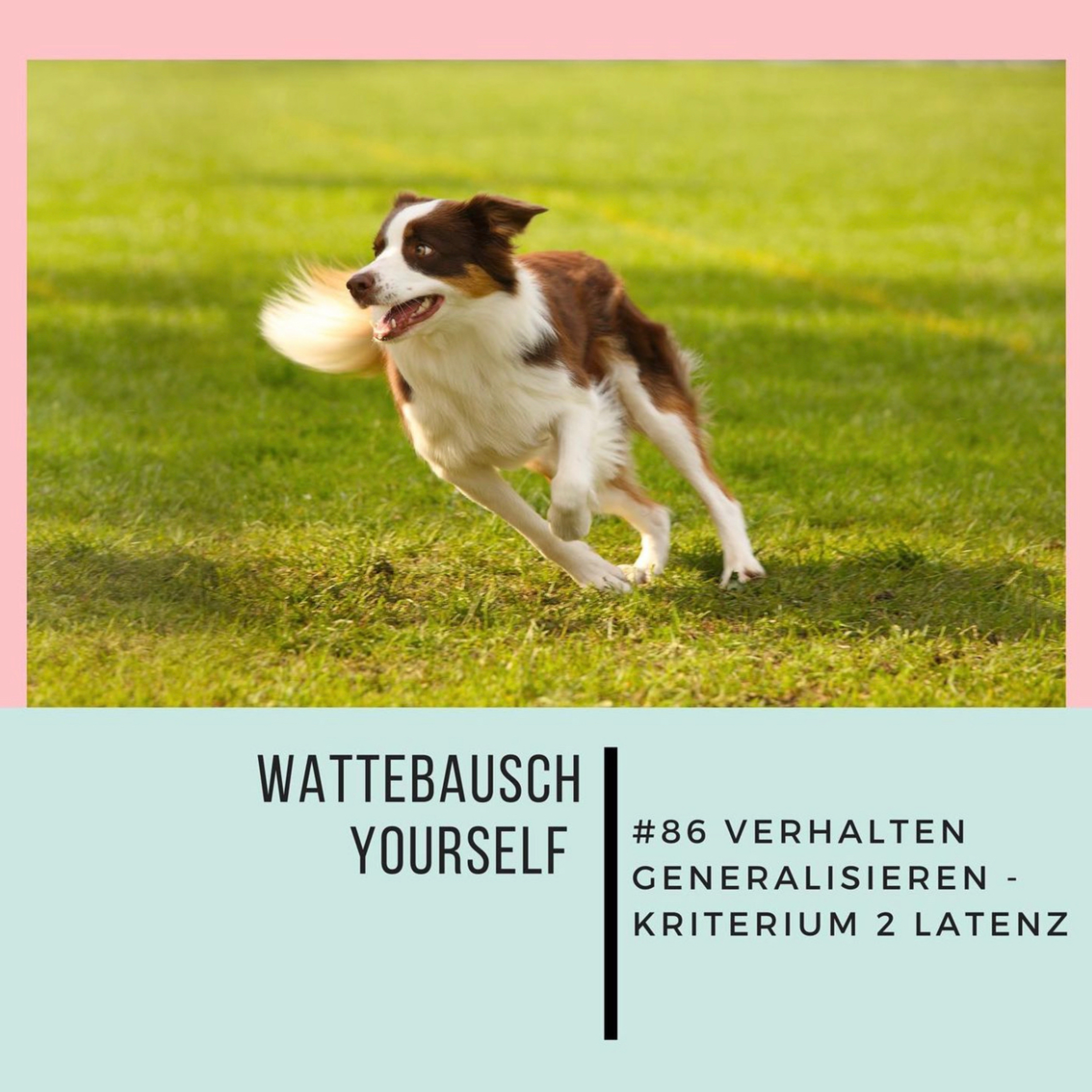 Wattebauschfraktion