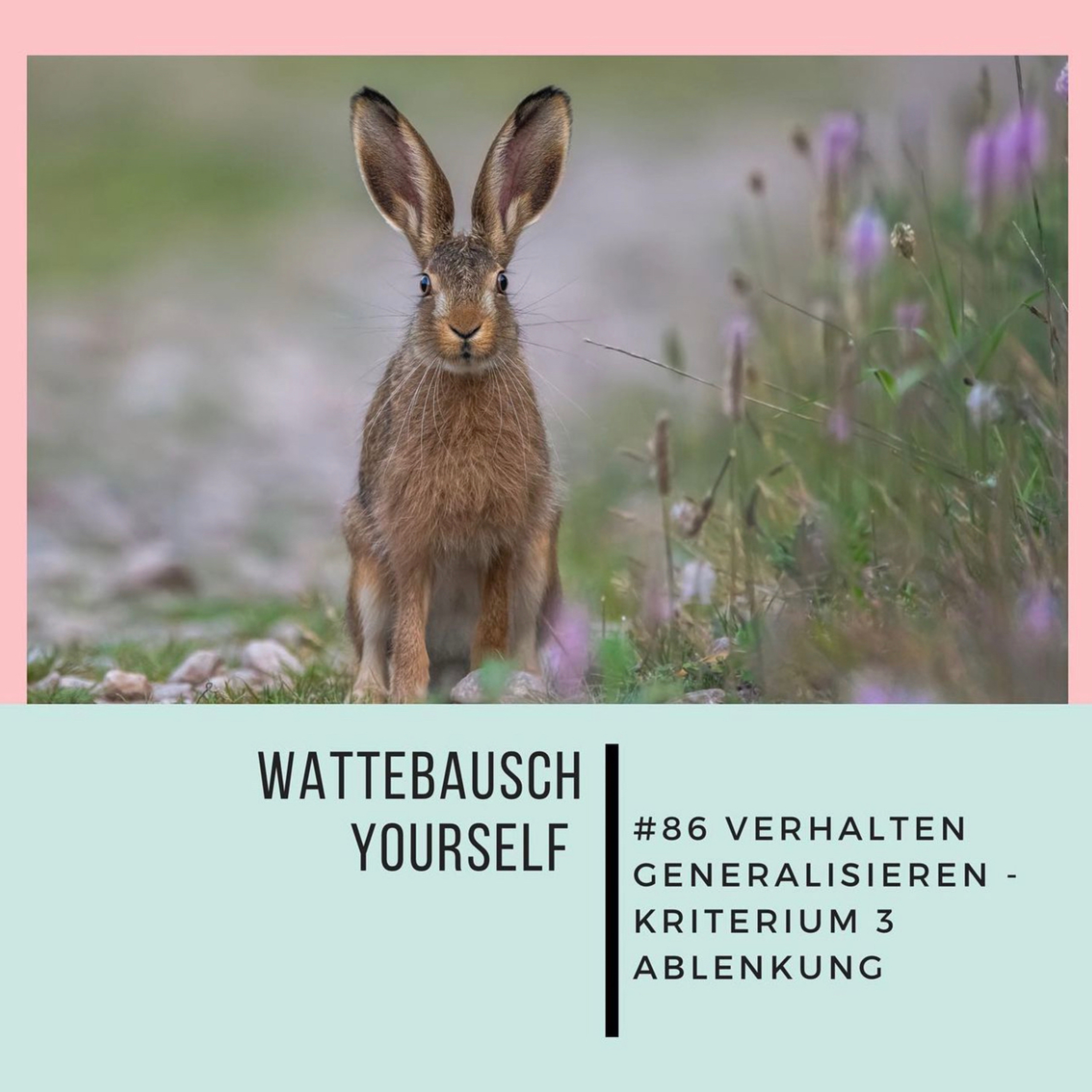 Wattebauschfraktion