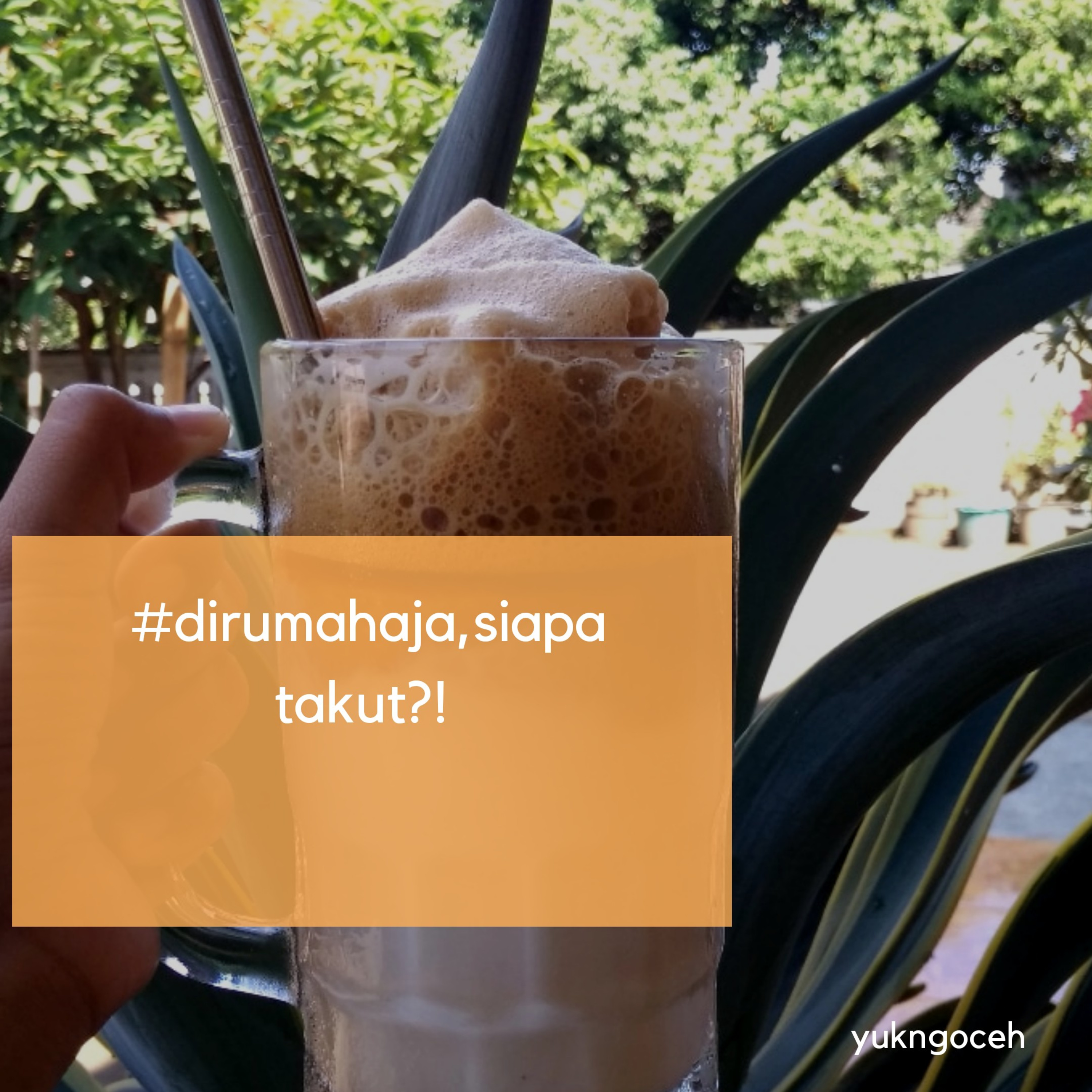 Yuk Ngoceh