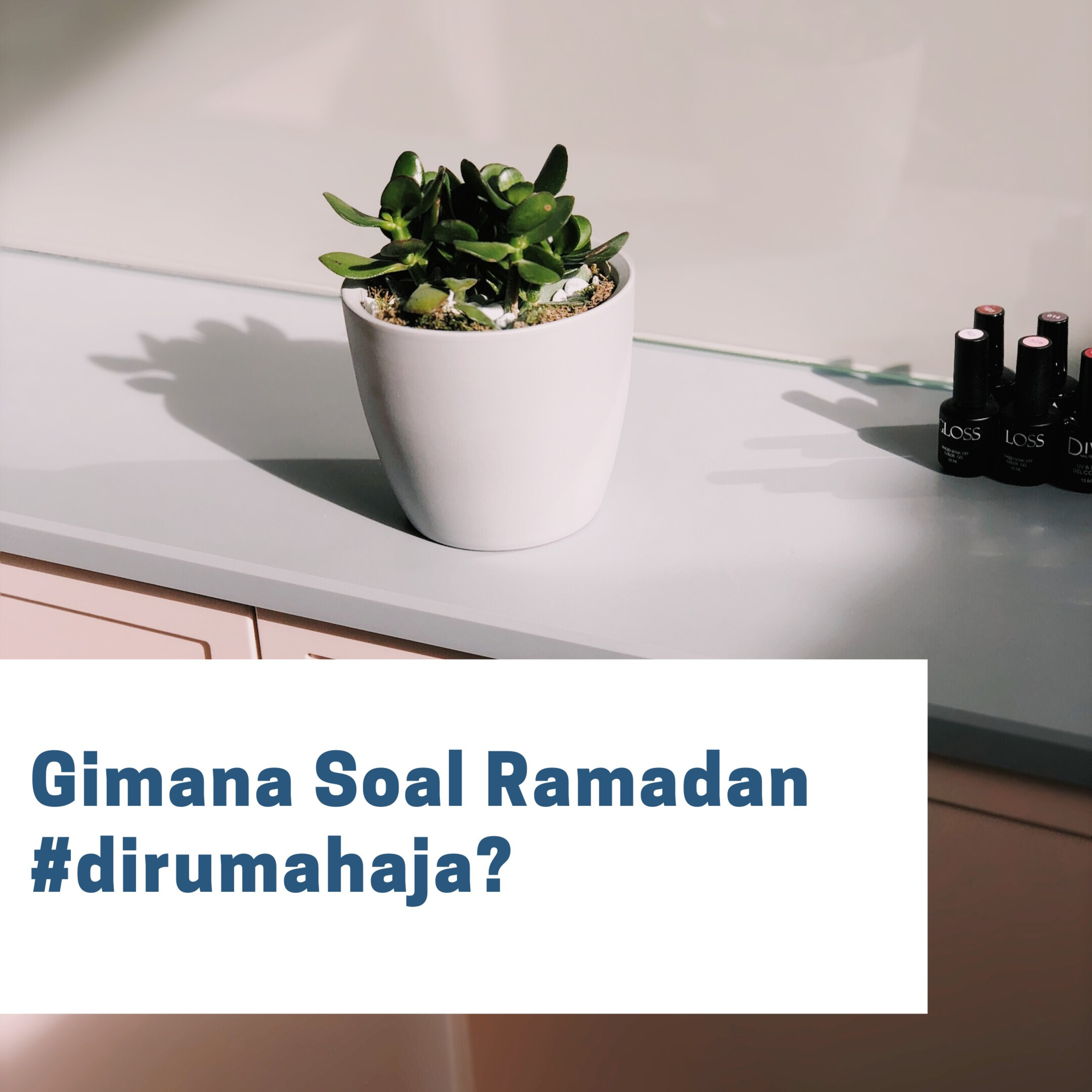 Yuk Ngoceh