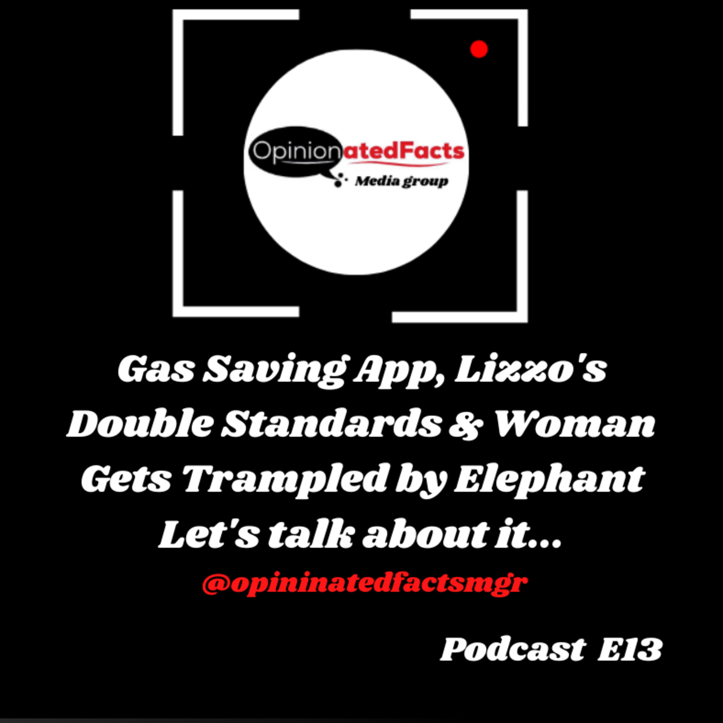 Gas Saving App, Lizzo's Double Standards & Woman Gets Trampled by Elephant episode artwork