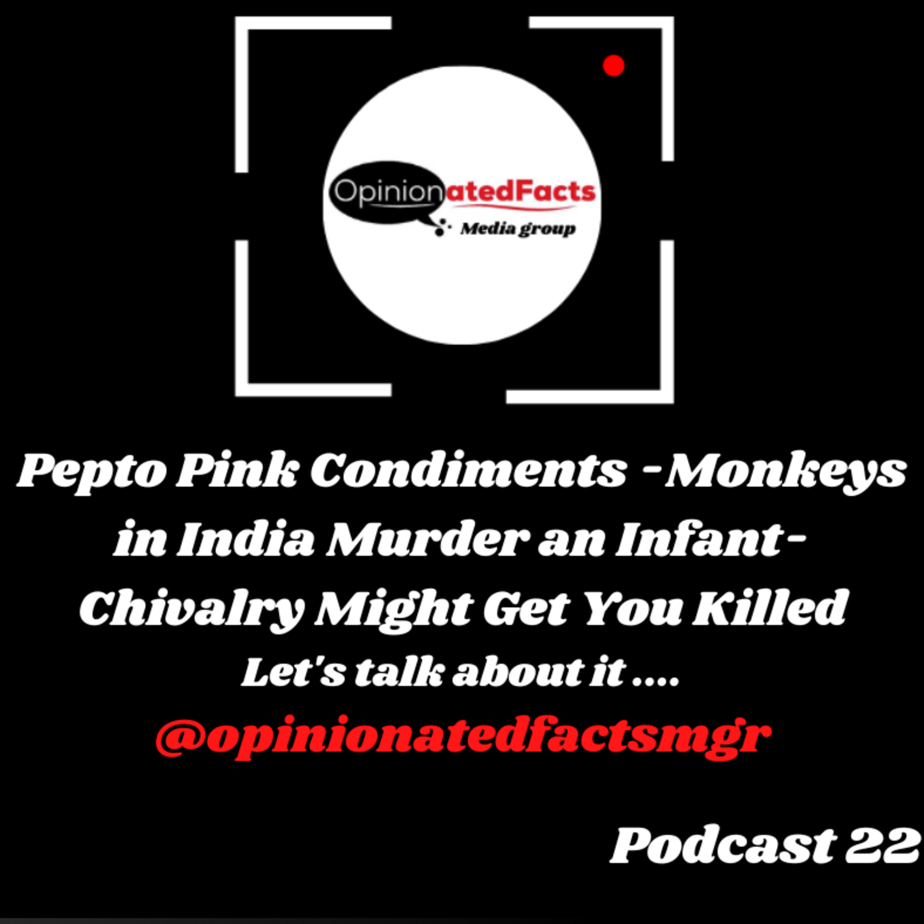 Pepto Pink Condiments -Monkeys in India Murder an Infant- Chivalry Might Get You Killed episode artwork