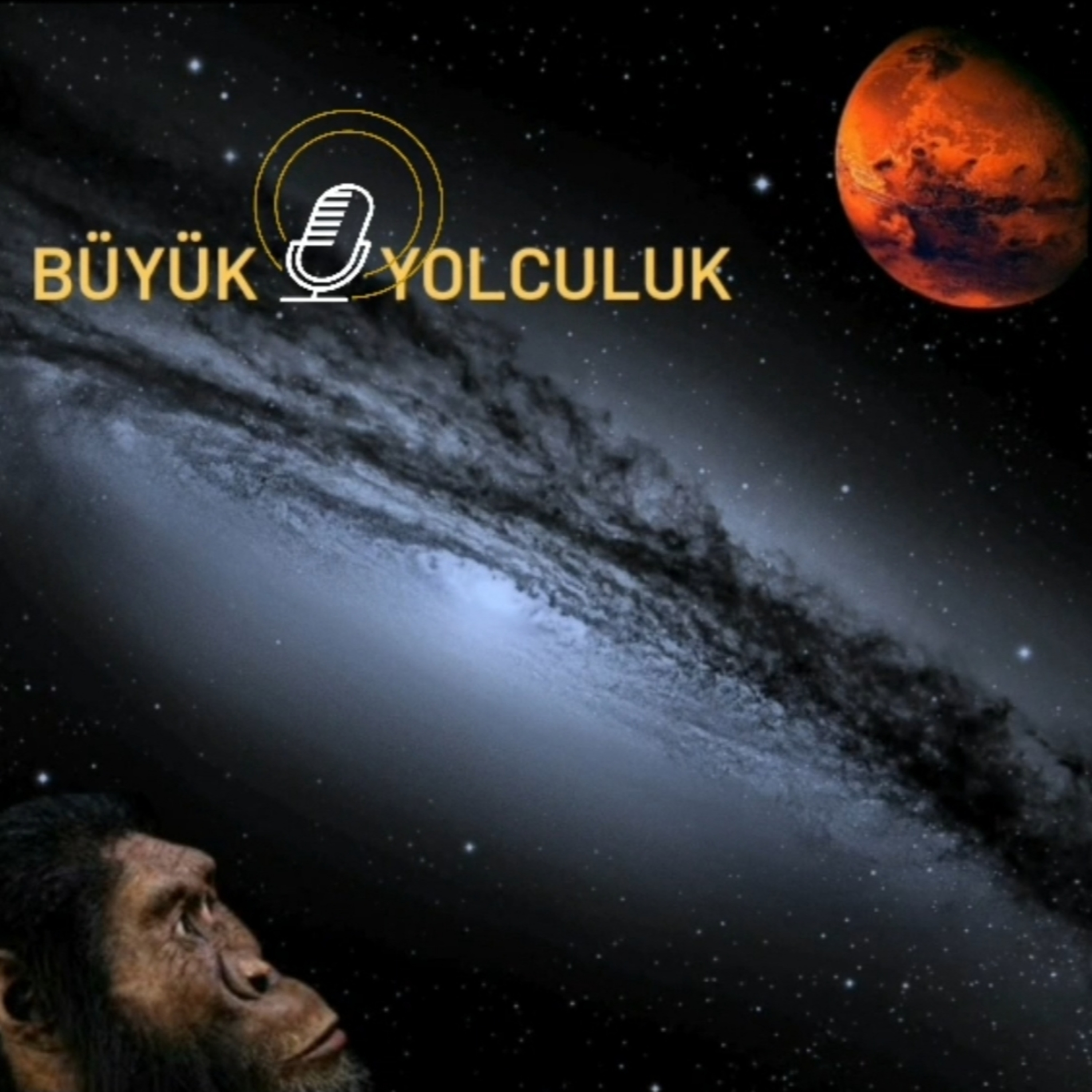 Ornitorenk