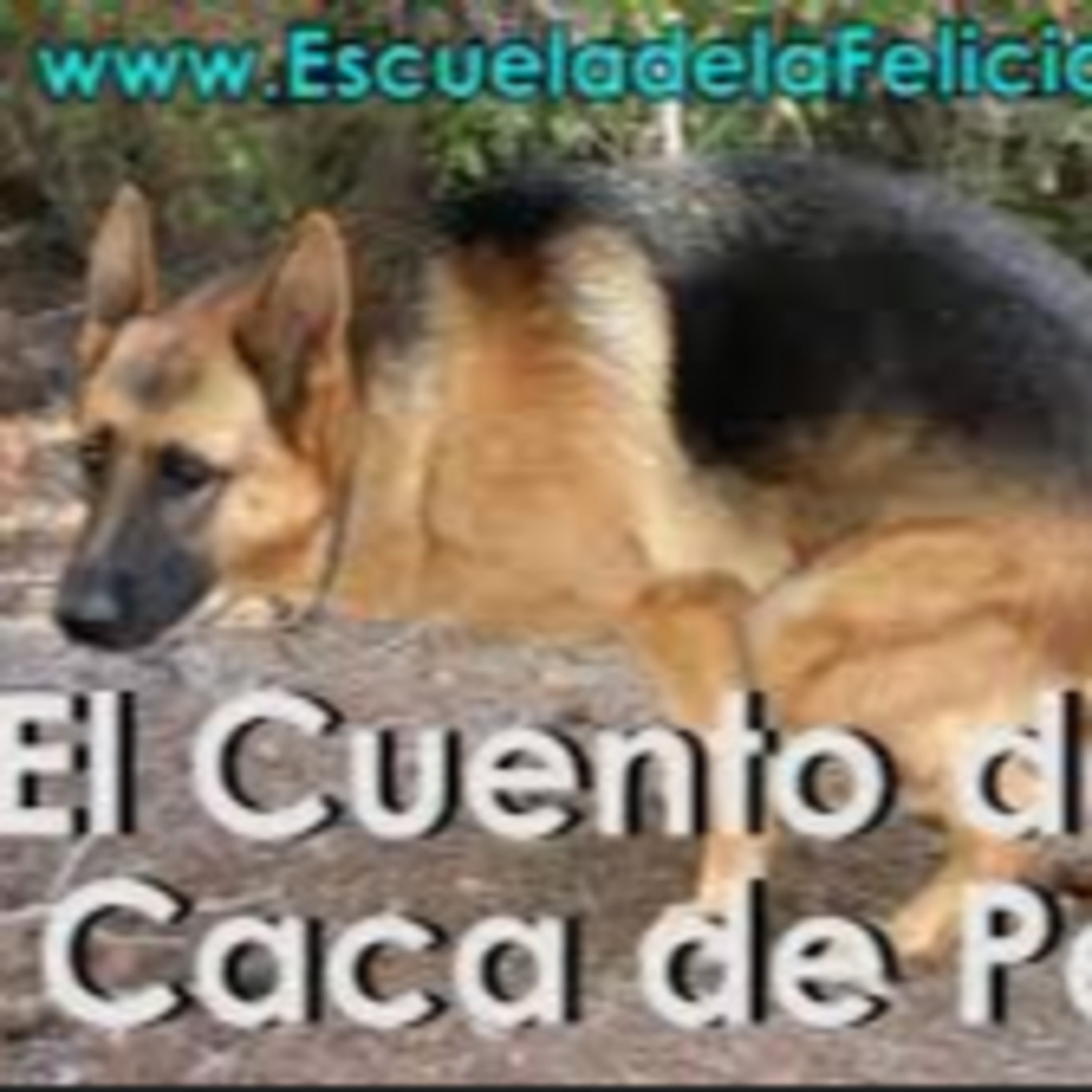 Portada de Escuela de la Felicidad