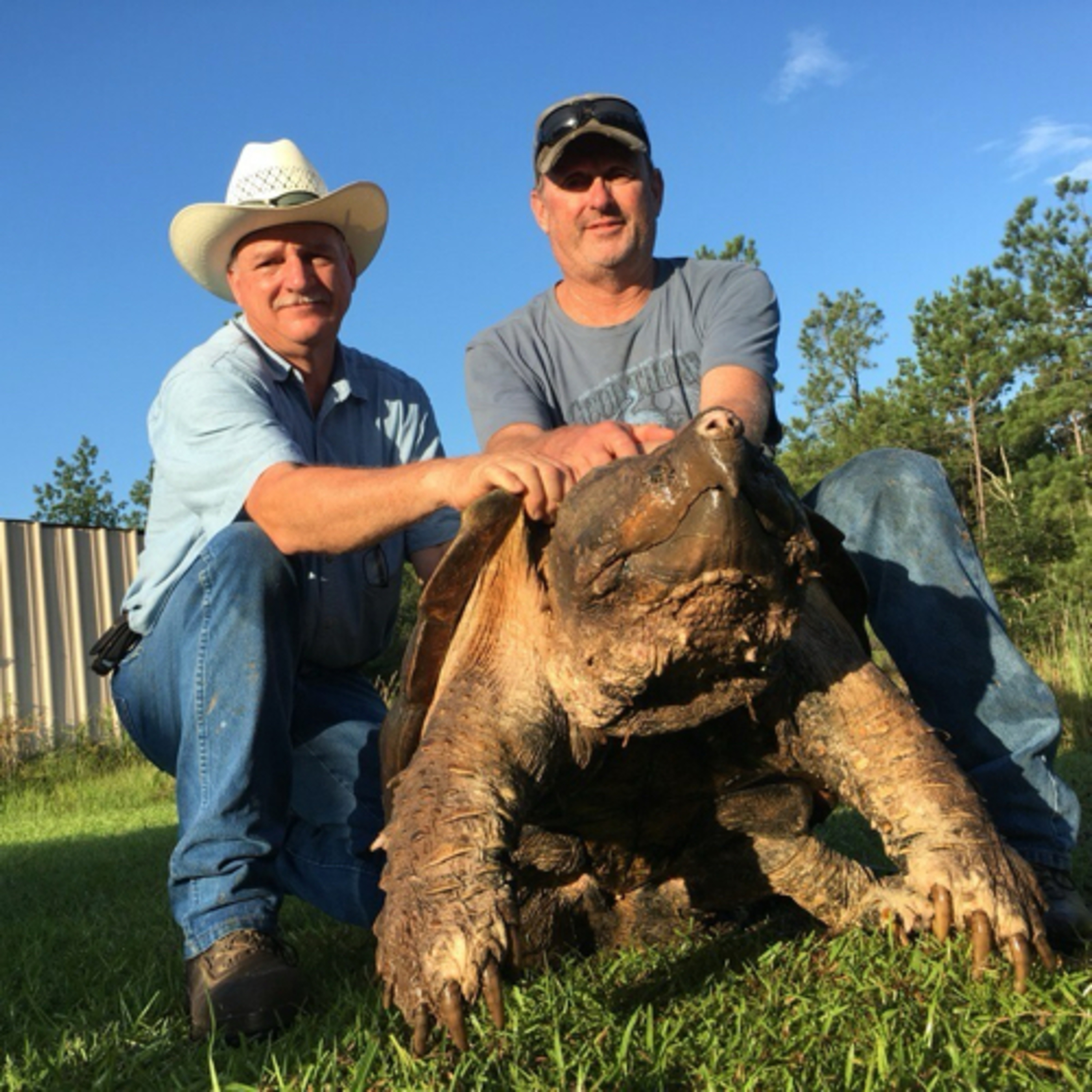 Brian Fillmore and the return of the Alligator Snapper!!