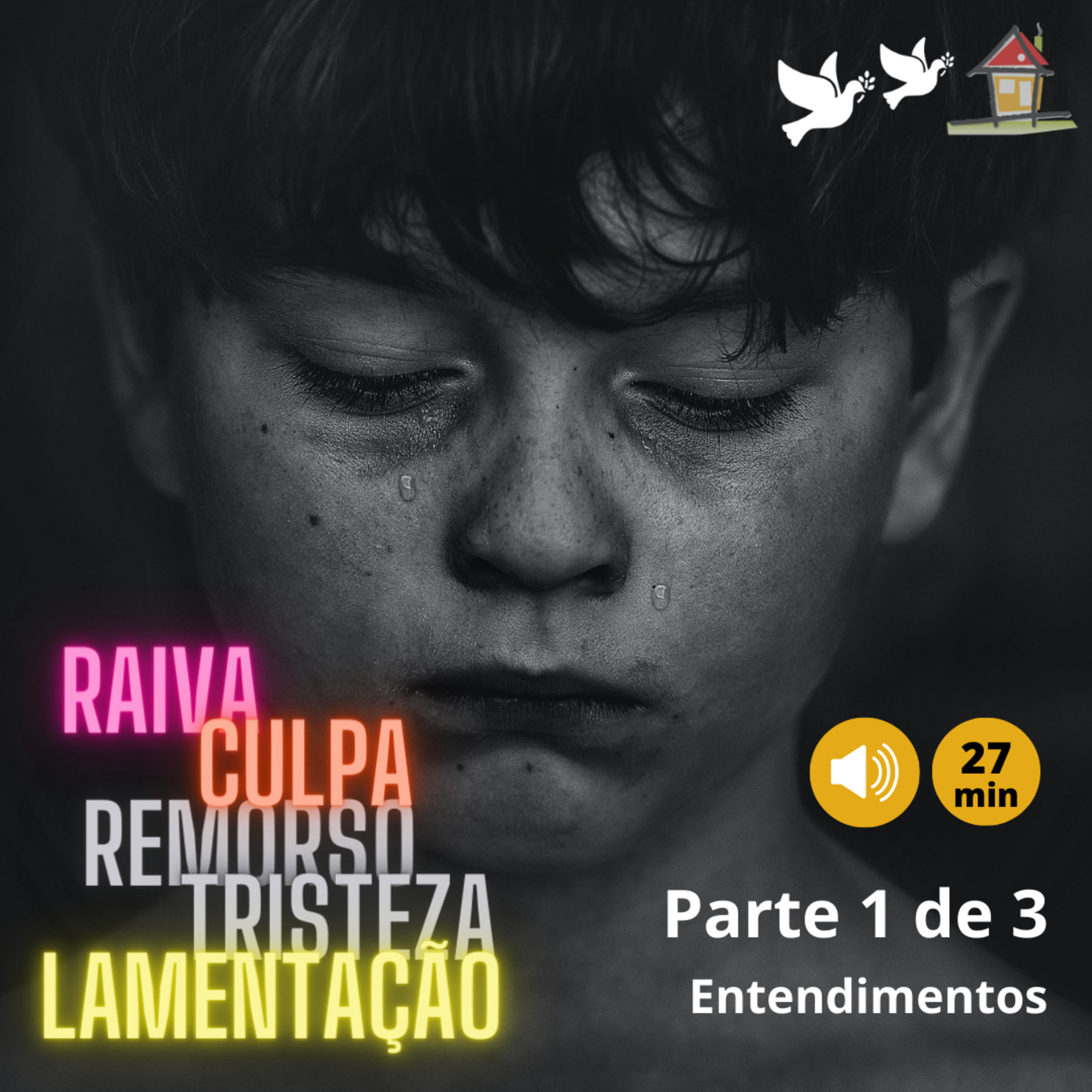 Entendimentos [NSimas] Raiva - Dor e Tristeza - Remorso [Top13bCap3LVAL Pgs107~108] episode artwork