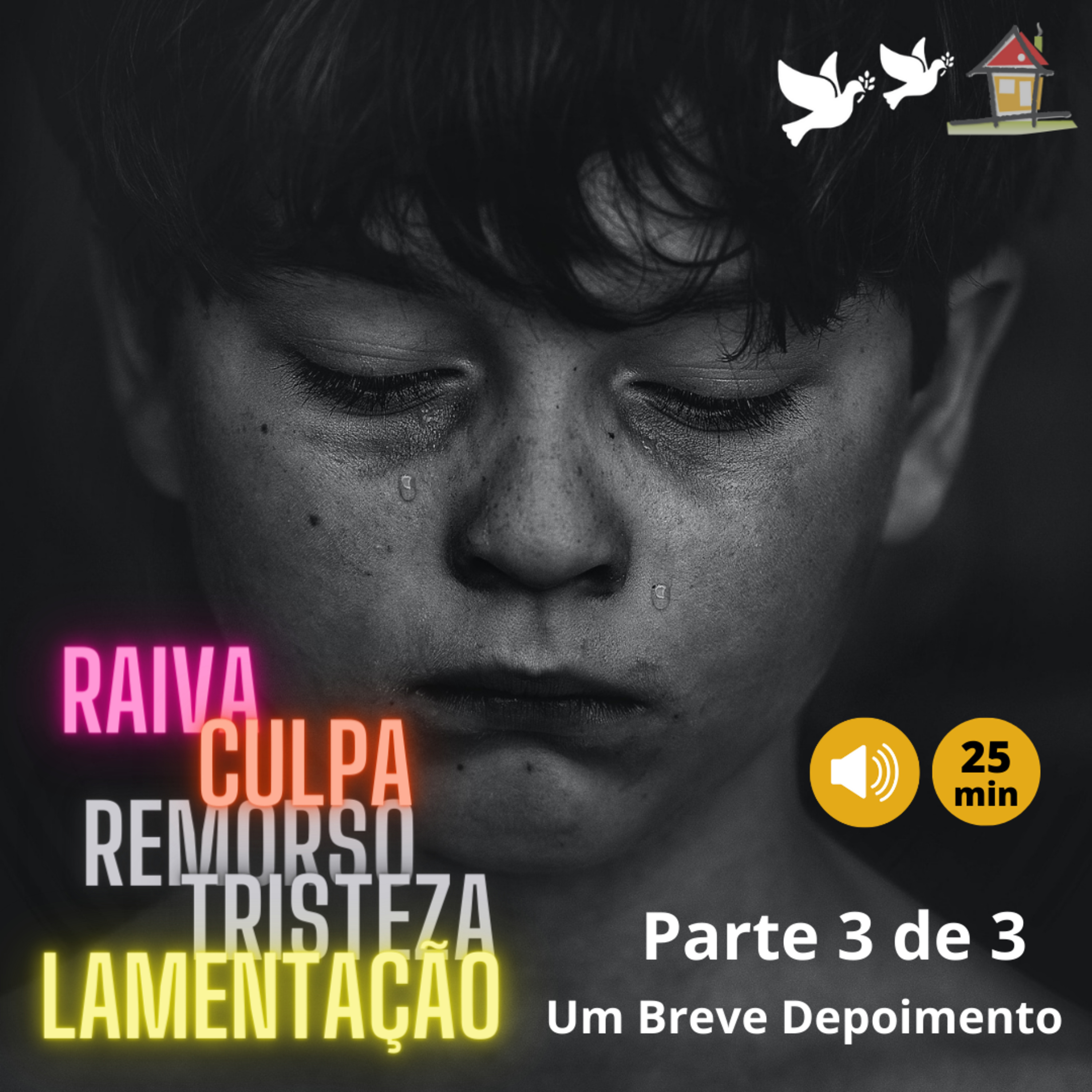 Um Breve Depoimento [NSimas] Raiva - Dor e Tristeza - Remorso [Top13bCap3LVAL Pgs107~108] episode artwork