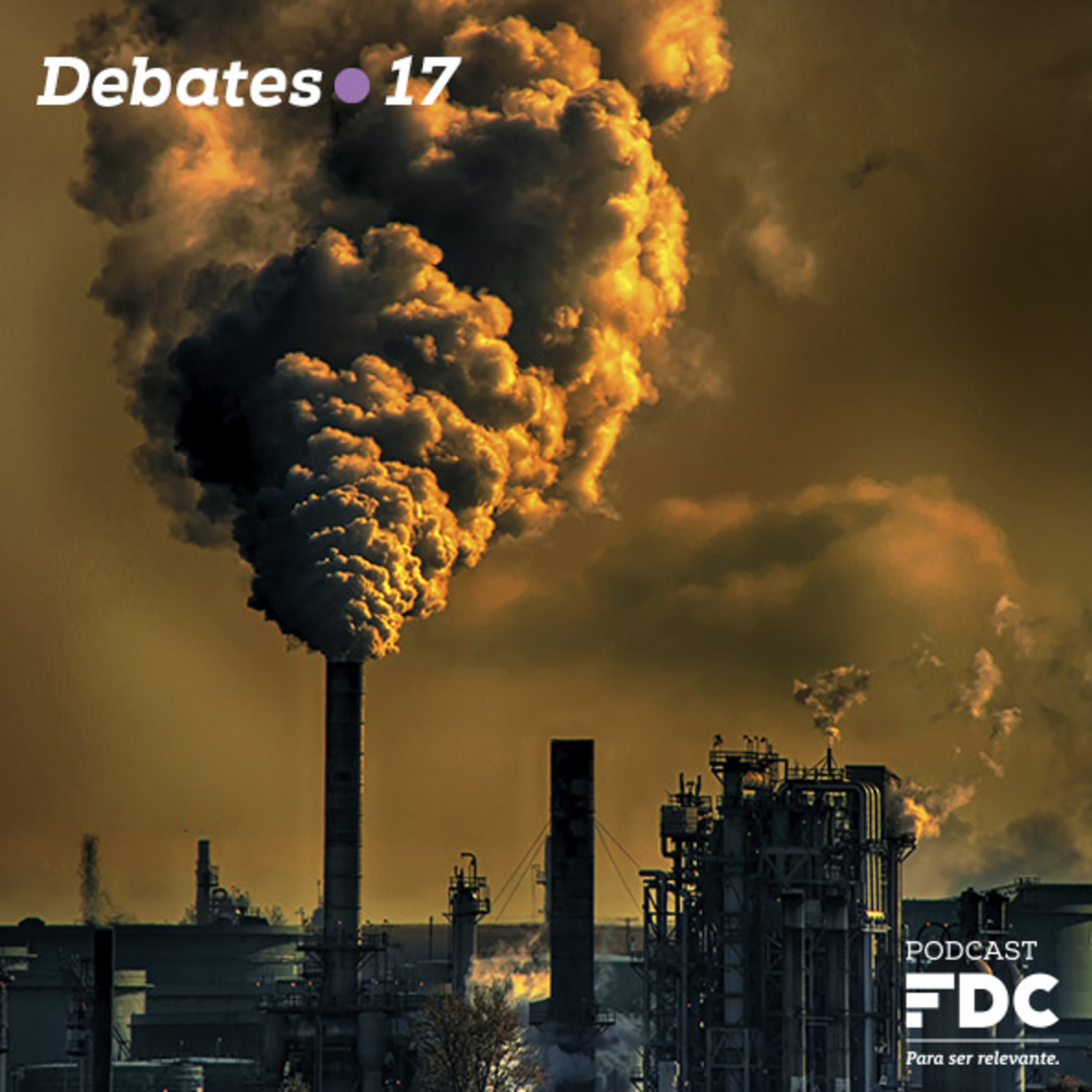 FDC Debates #17 - Organizações e mudanças climáticas