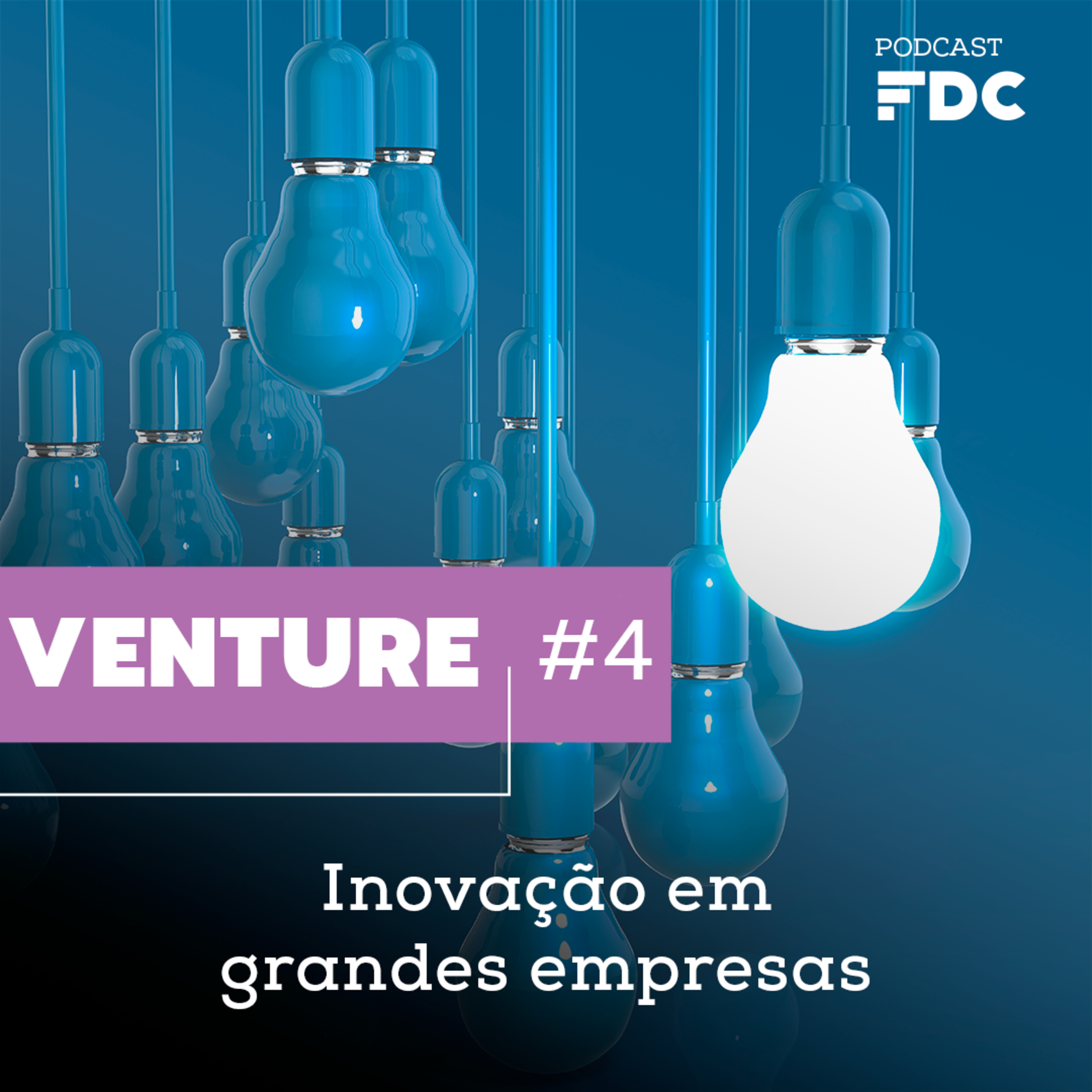 Venture #4 - Inovação em grandes empresas